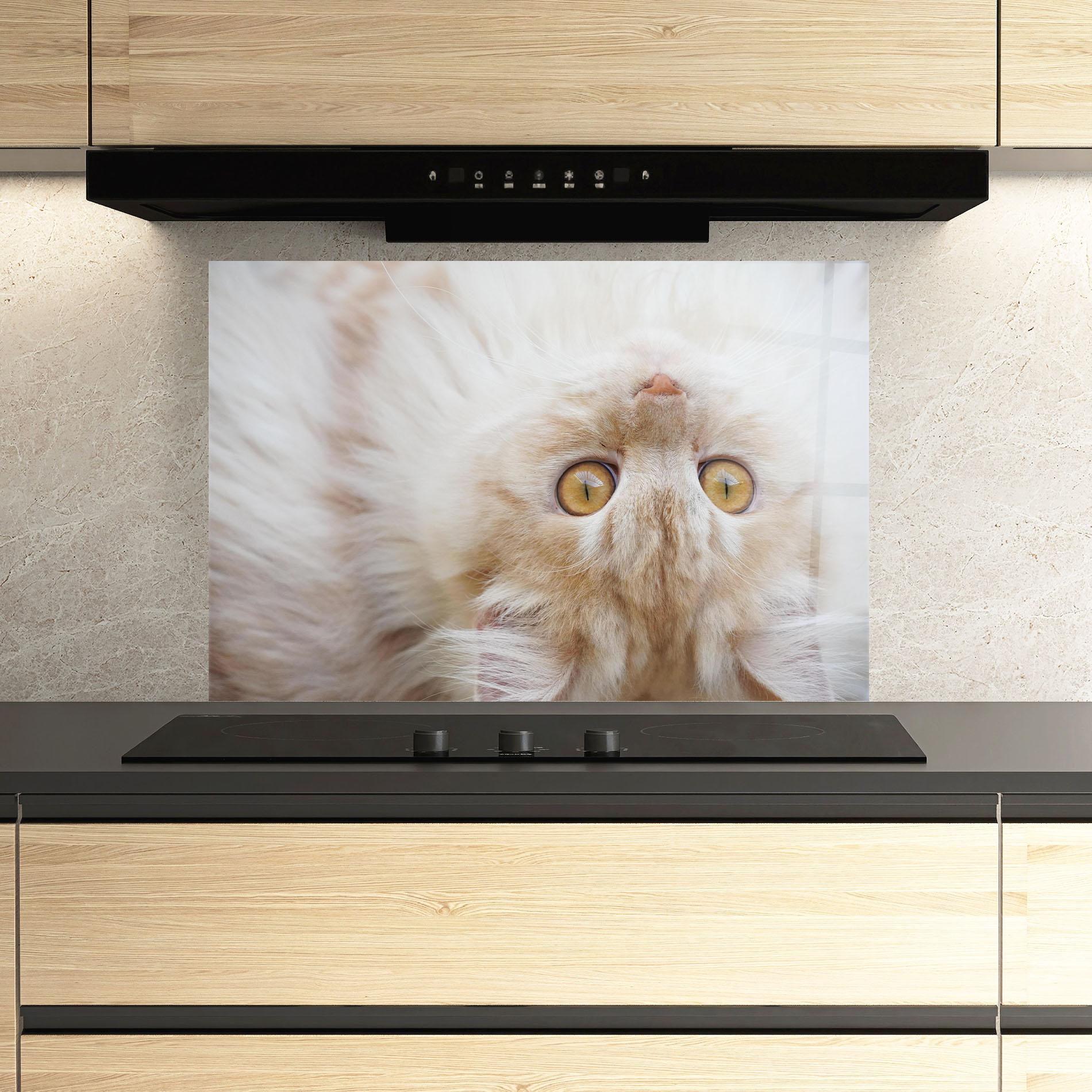 Panou Sticla Bucatarie Close Up Yellow Eyes Cat mockup 3
