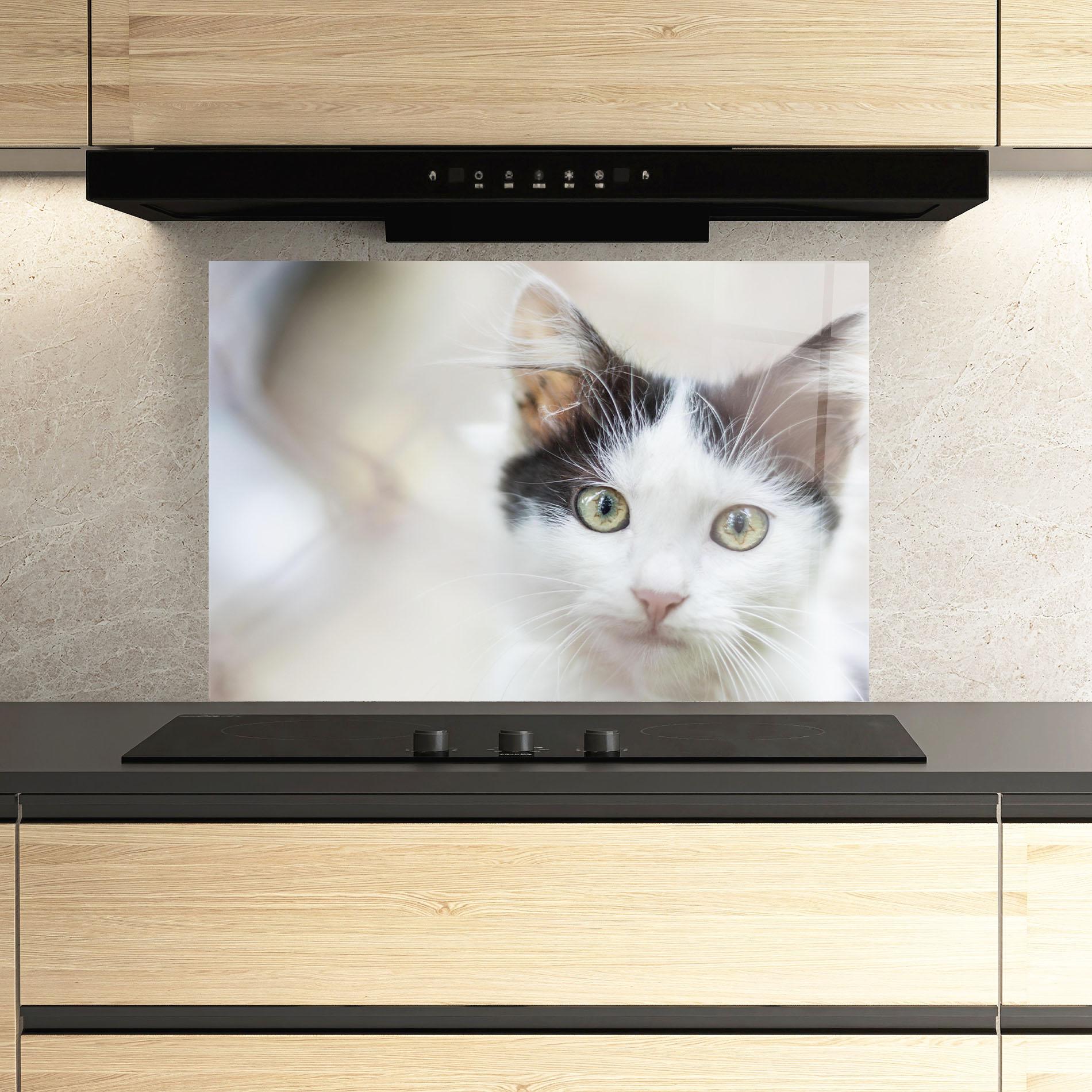 Panou Sticla Bucatarie Cutie Cat mockup 3