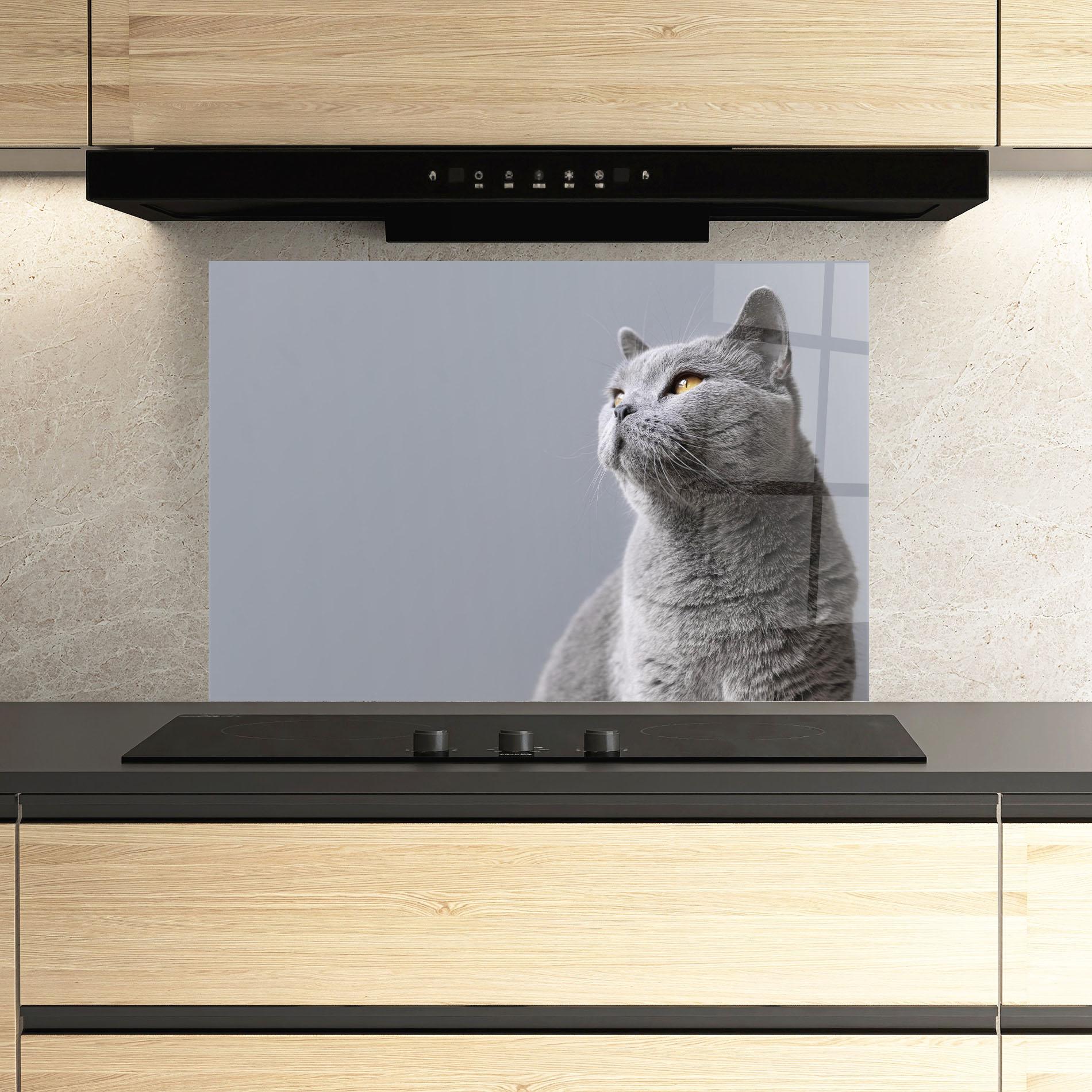 Panou Sticla Bucatarie Gray Kitty mockup 3