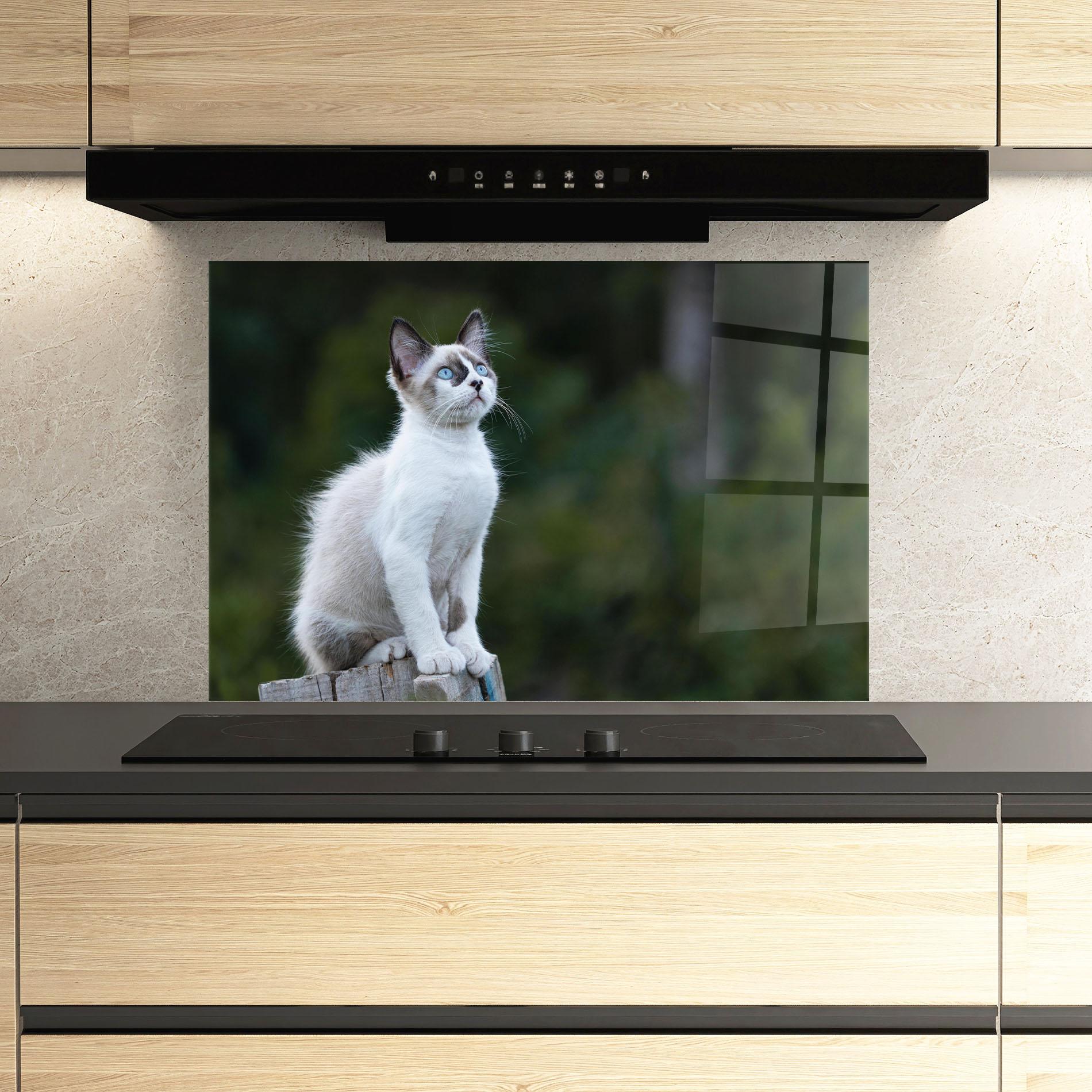 Panou Sticla Bucatarie Grey Cat In Nature mockup 3