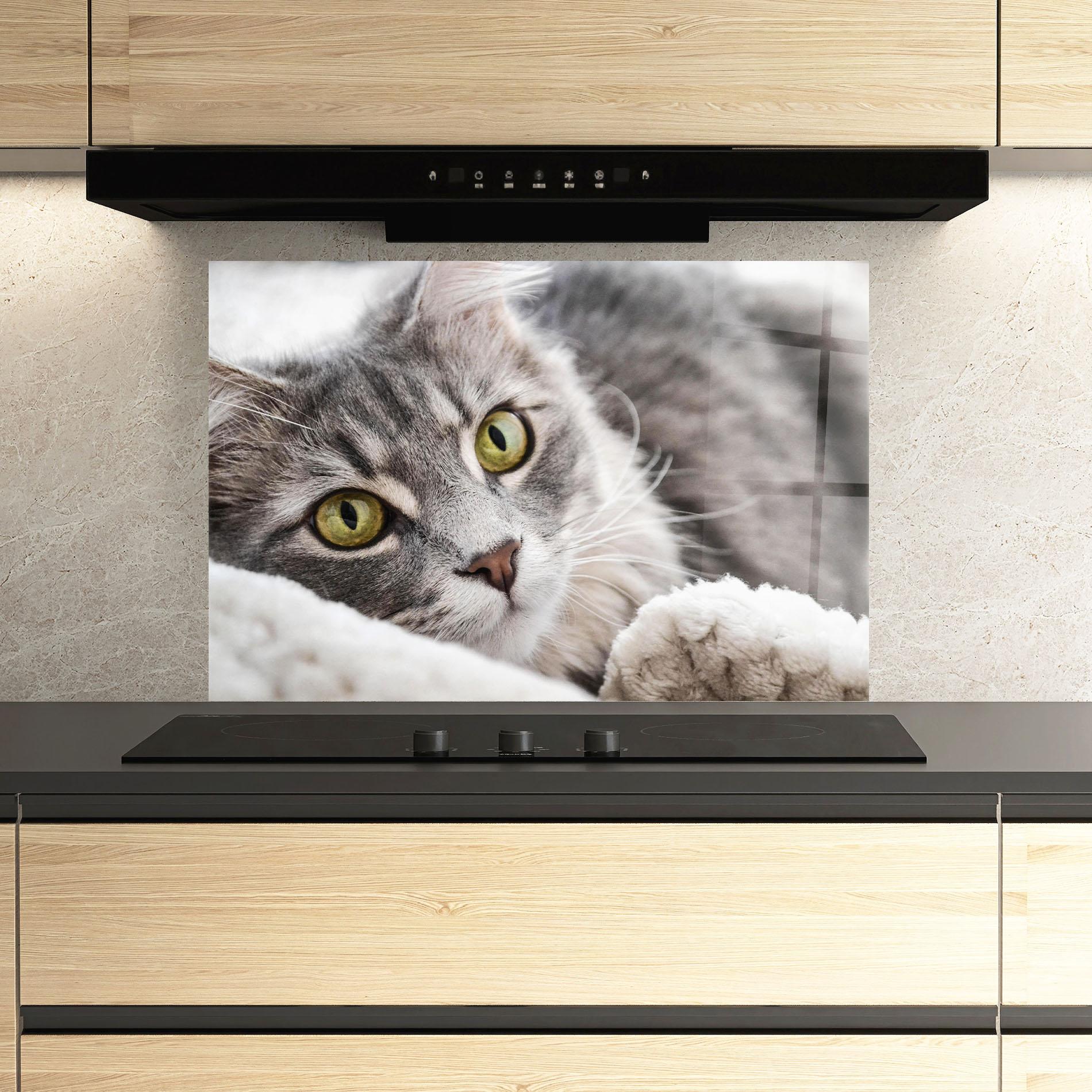 Panou Sticla Bucatarie Grey Fluffy Cat mockup 3