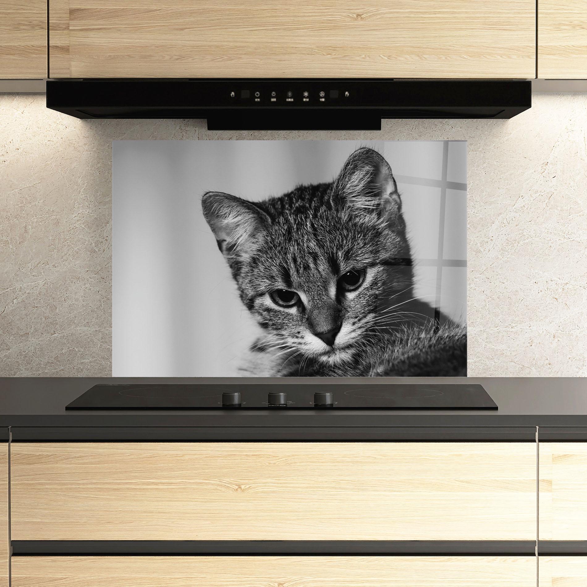 Panou Sticla Bucatarie Grey Focused Cat mockup 3