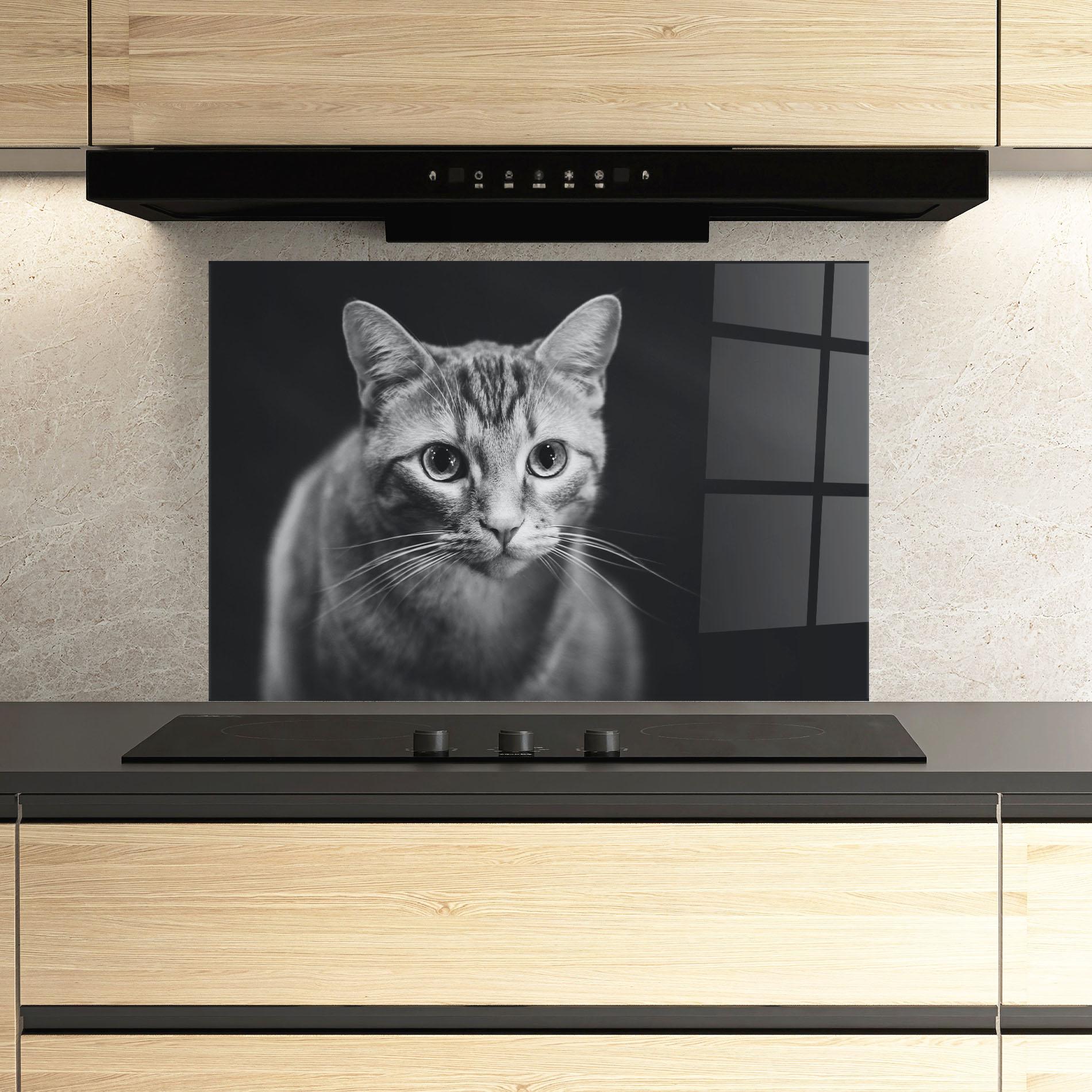 Panou Sticla Bucatarie Grey Kitty On Black mockup 3