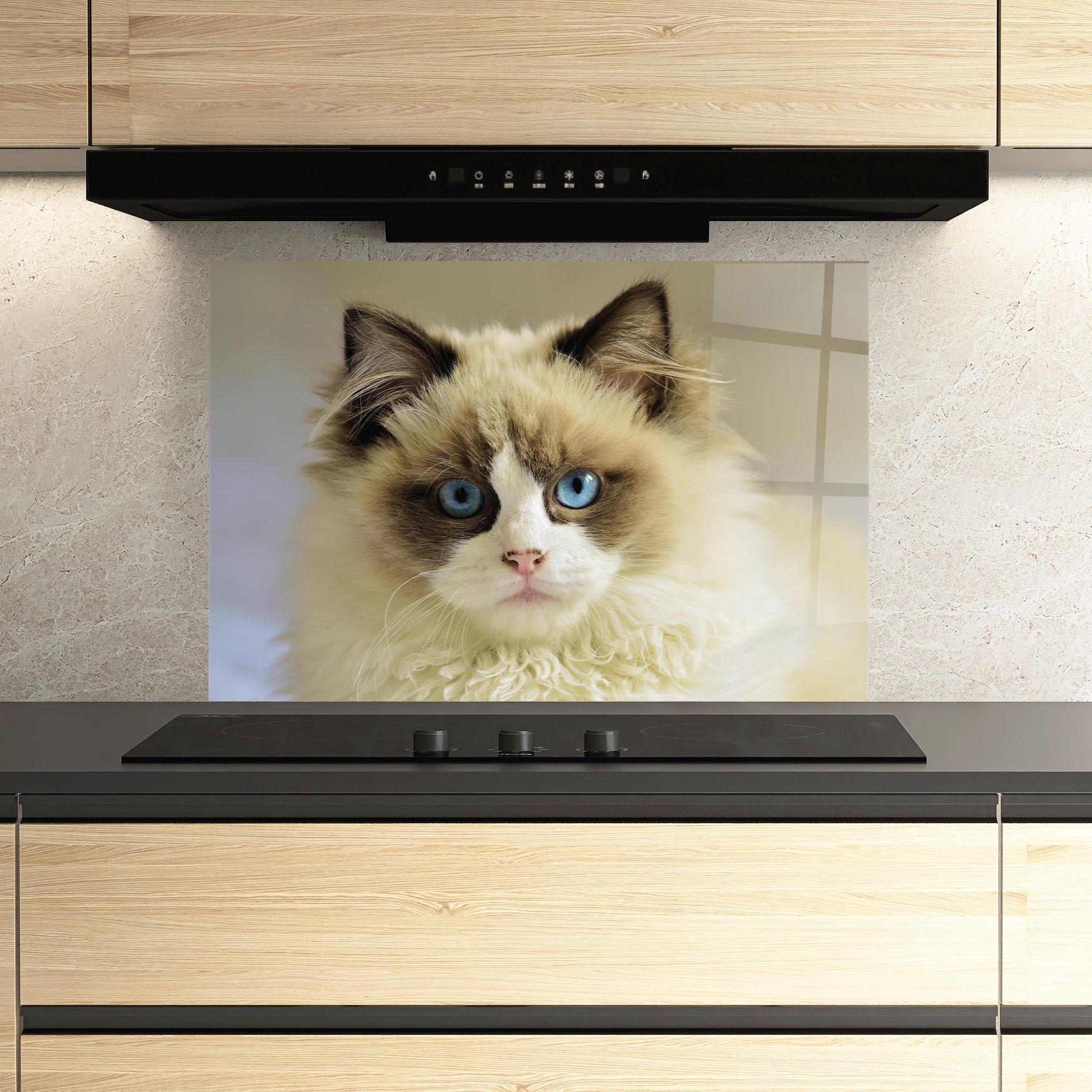 Panou Sticla Bucatarie Interesting Blue Eyes Cat mockup 3