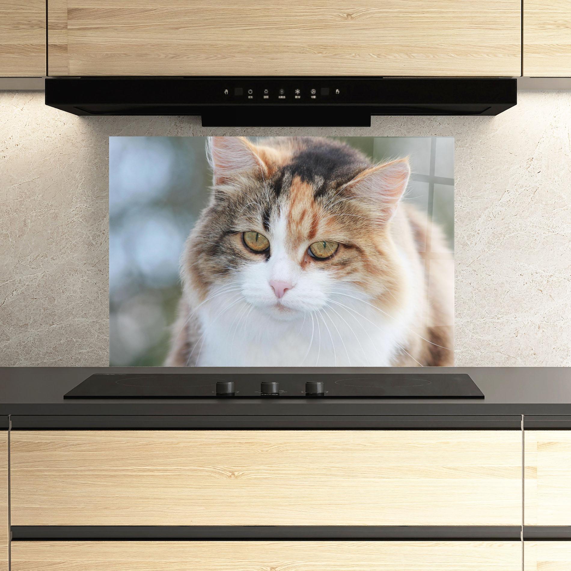 Panou Sticla Bucatarie Orange Brown Cat mockup 3