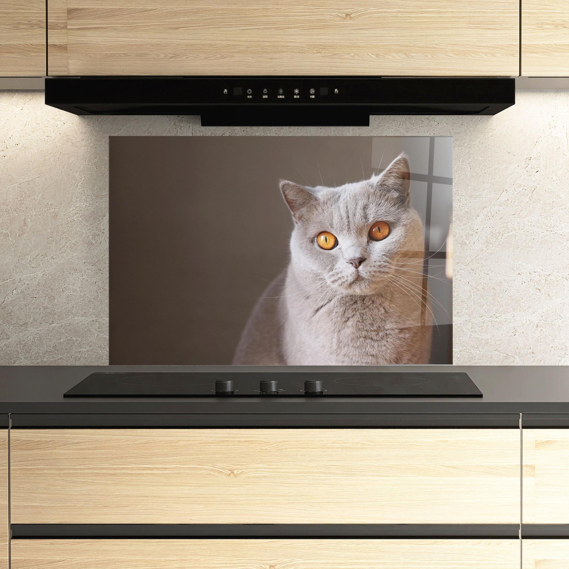 Panou Sticla Bucatarie Orange Eyes Cat mockup 3