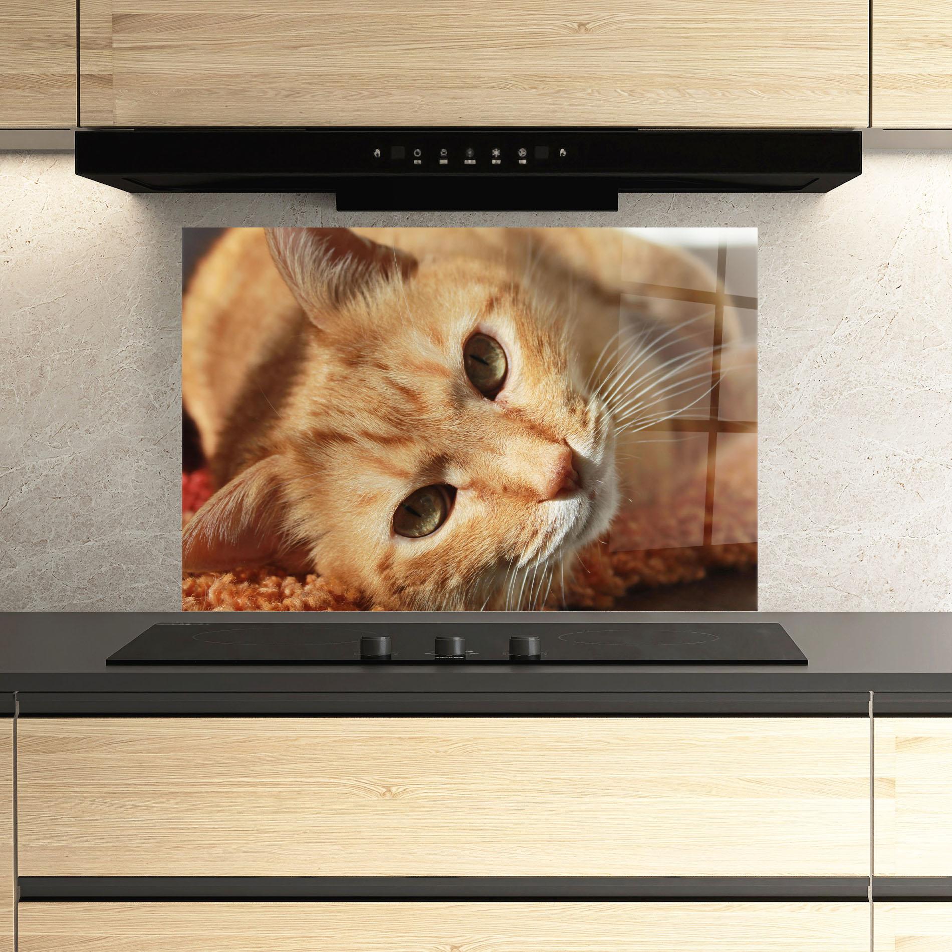 Panou Sticla Bucatarie Pretty Orange Cat mockup 3