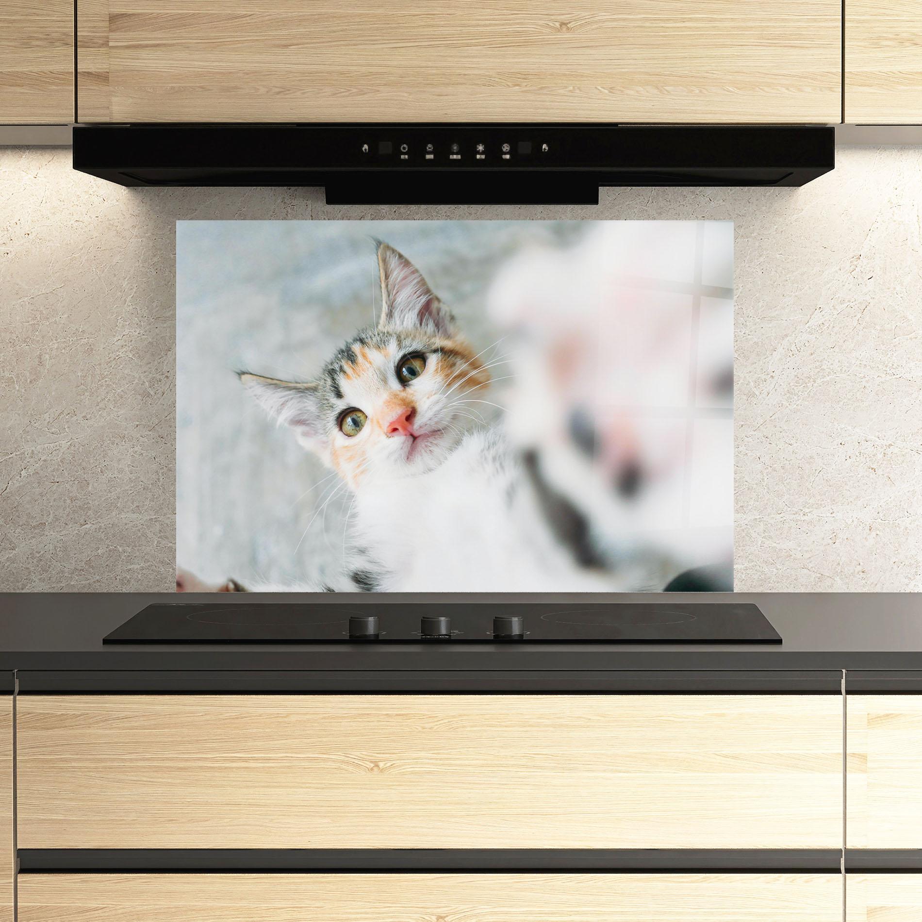 Panou Sticla Bucatarie Pretty Pink Nose Cat mockup 3