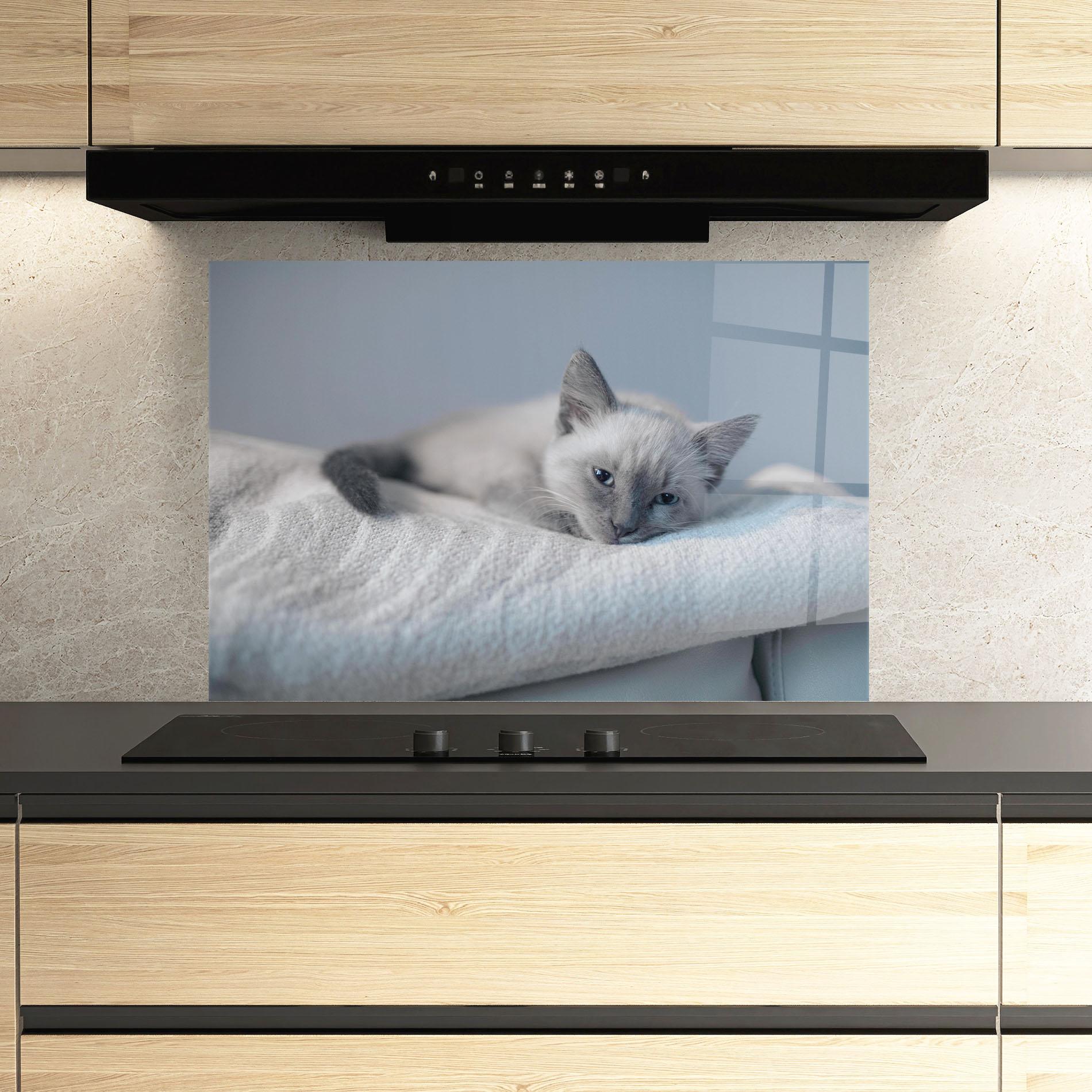 Panou Sticla Bucatarie Sleepy Grey Cat mockup 3