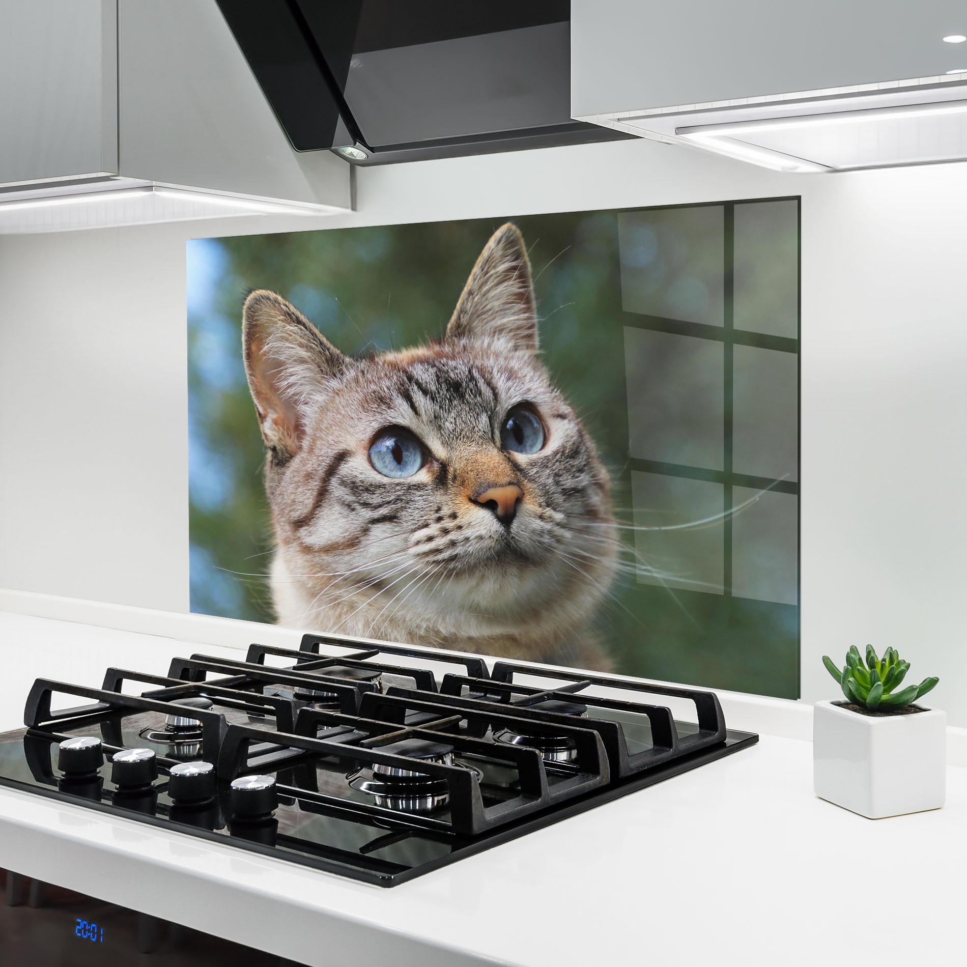 Panou Sticla Bucatarie Blue Eyes Cutie mockup 6