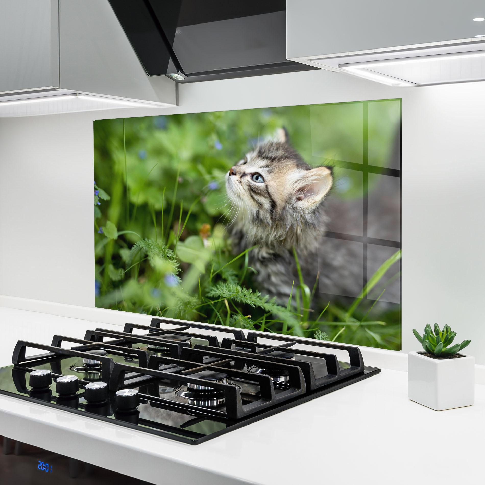 Panou Sticla Bucatarie Brown Baby Cat mockup 6