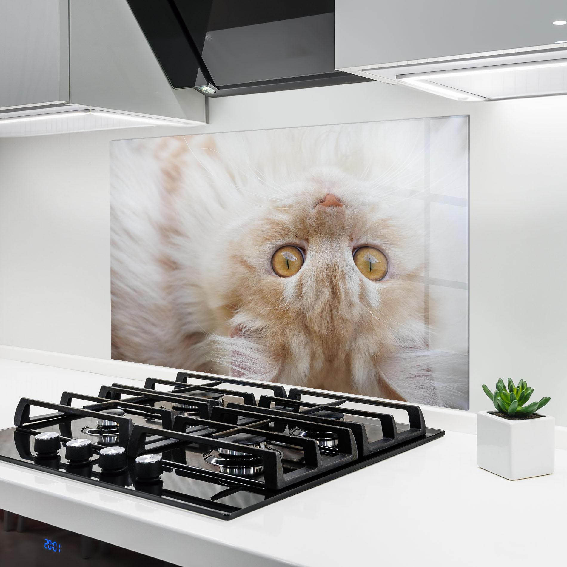 Panou Sticla Bucatarie Close Up Yellow Eyes Cat mockup 6