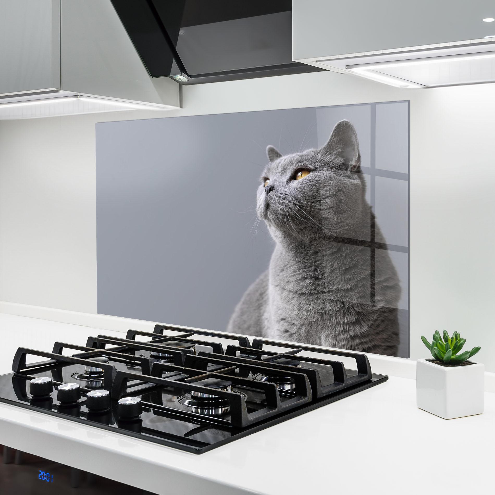 Panou Sticla Bucatarie Gray Kitty mockup 6