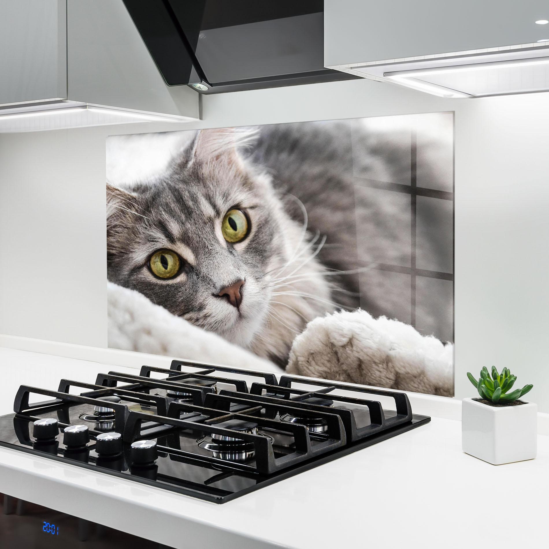 Panou Sticla Bucatarie Grey Fluffy Cat mockup 6