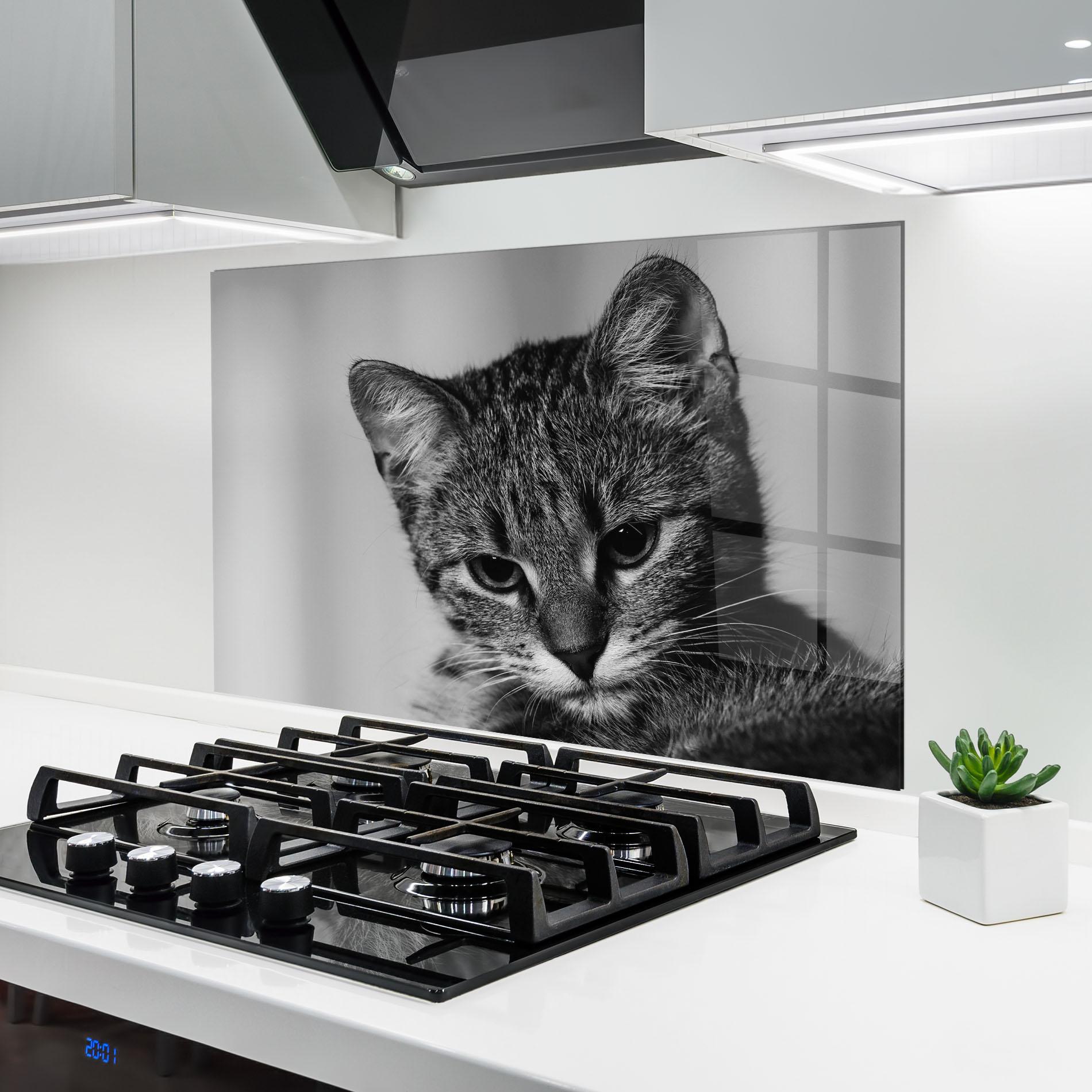Panou Sticla Bucatarie Grey Focused Cat mockup 6