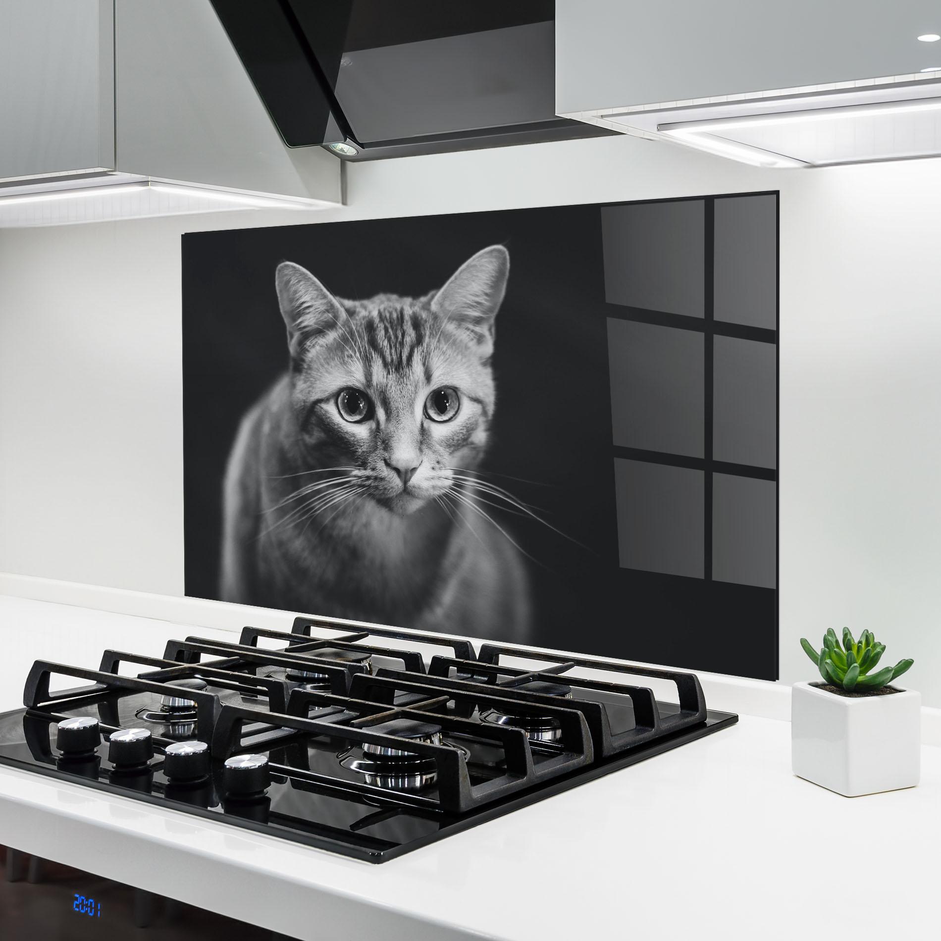 Panou Sticla Bucatarie Grey Kitty On Black mockup 6