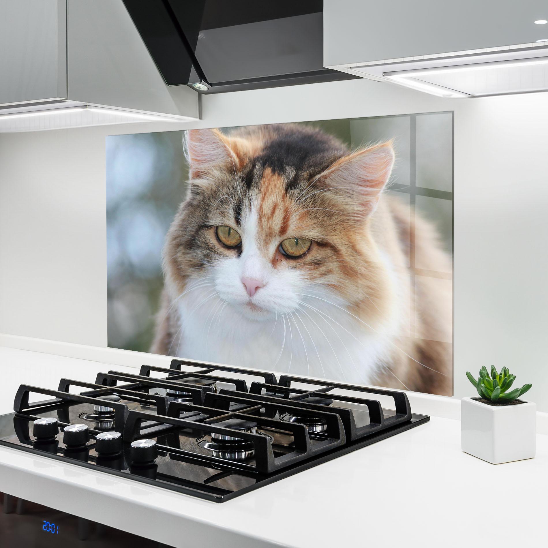 Panou Sticla Bucatarie Orange Brown Cat mockup 6
