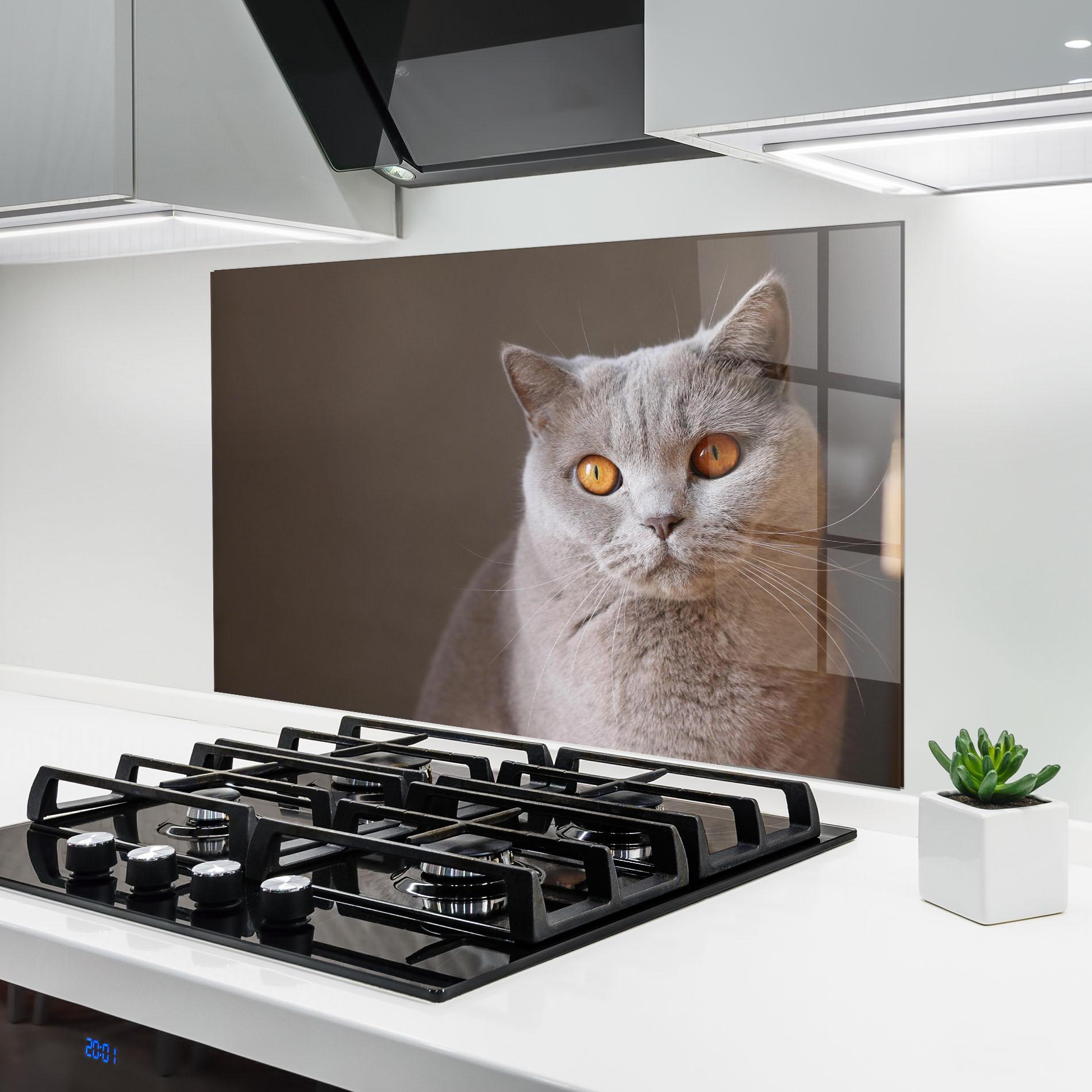 Panou Sticla Bucatarie Orange Eyes Cat mockup 6