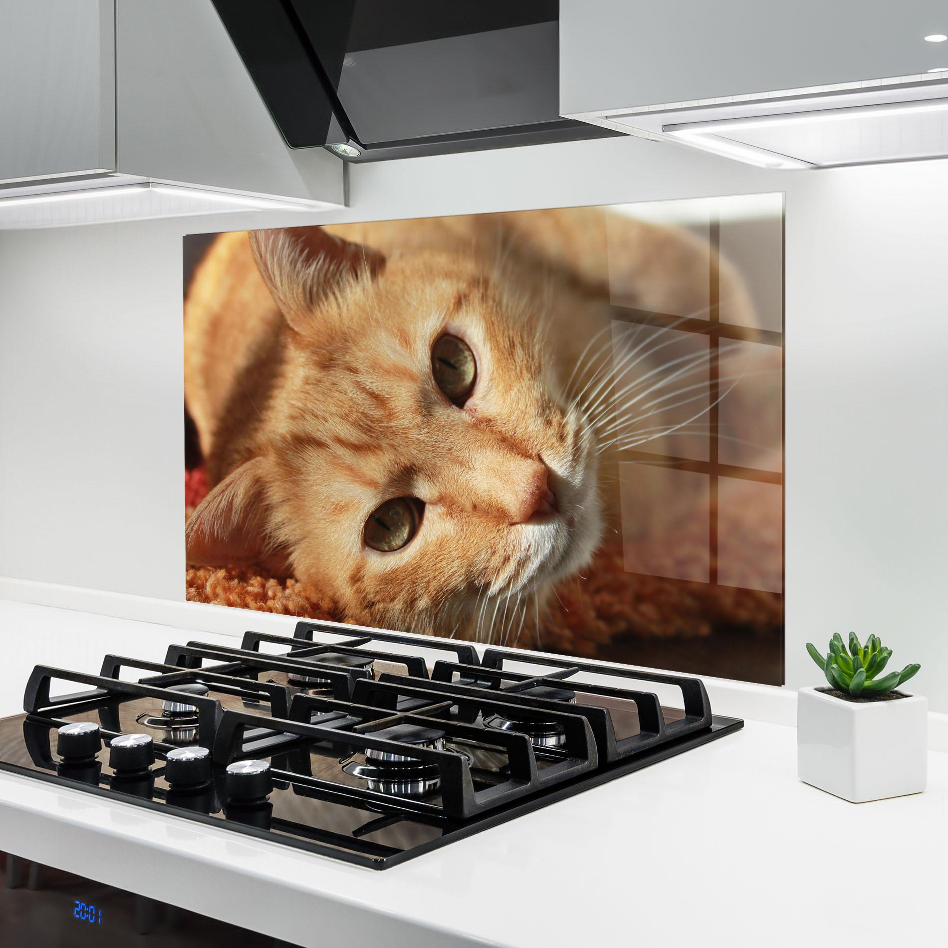 Panou Sticla Bucatarie Pretty Orange Cat mockup 6