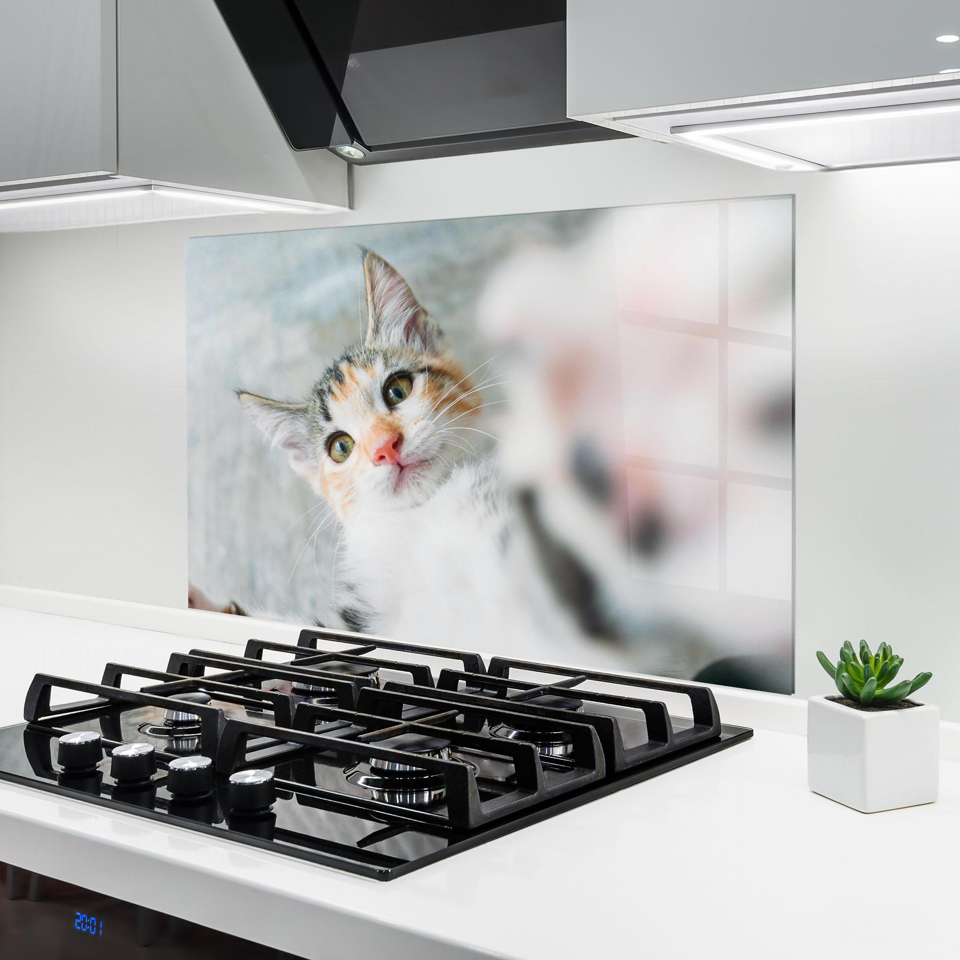 Panou Sticla Bucatarie Pretty Pink Nose Cat mockup 6