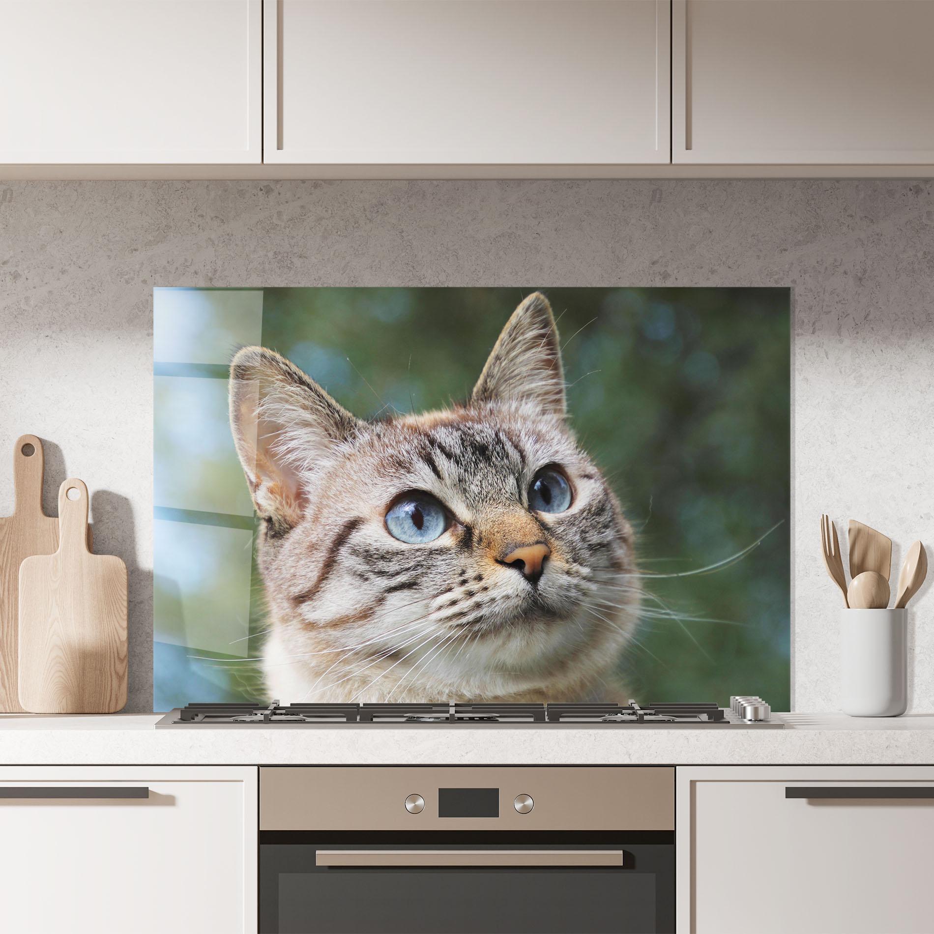 Panou Sticla Bucatarie Blue Eyes Cutie mockup 7