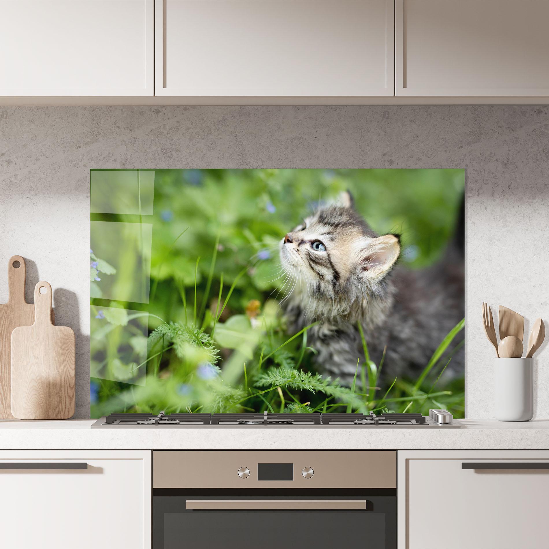 Panou Sticla Bucatarie Brown Baby Cat mockup 7