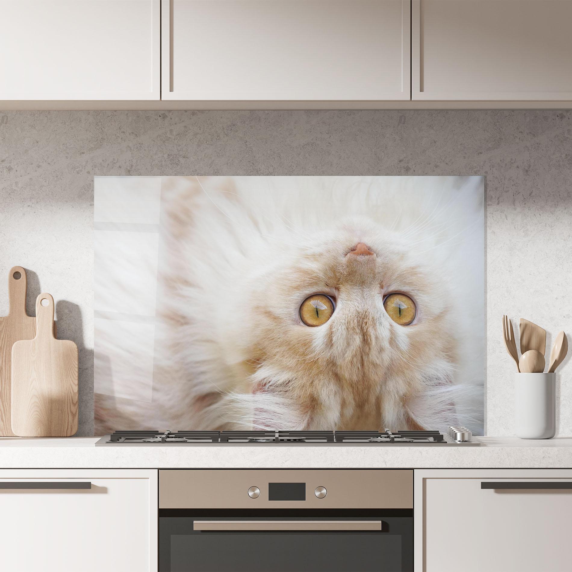 Panou Sticla Bucatarie Close Up Yellow Eyes Cat mockup 7