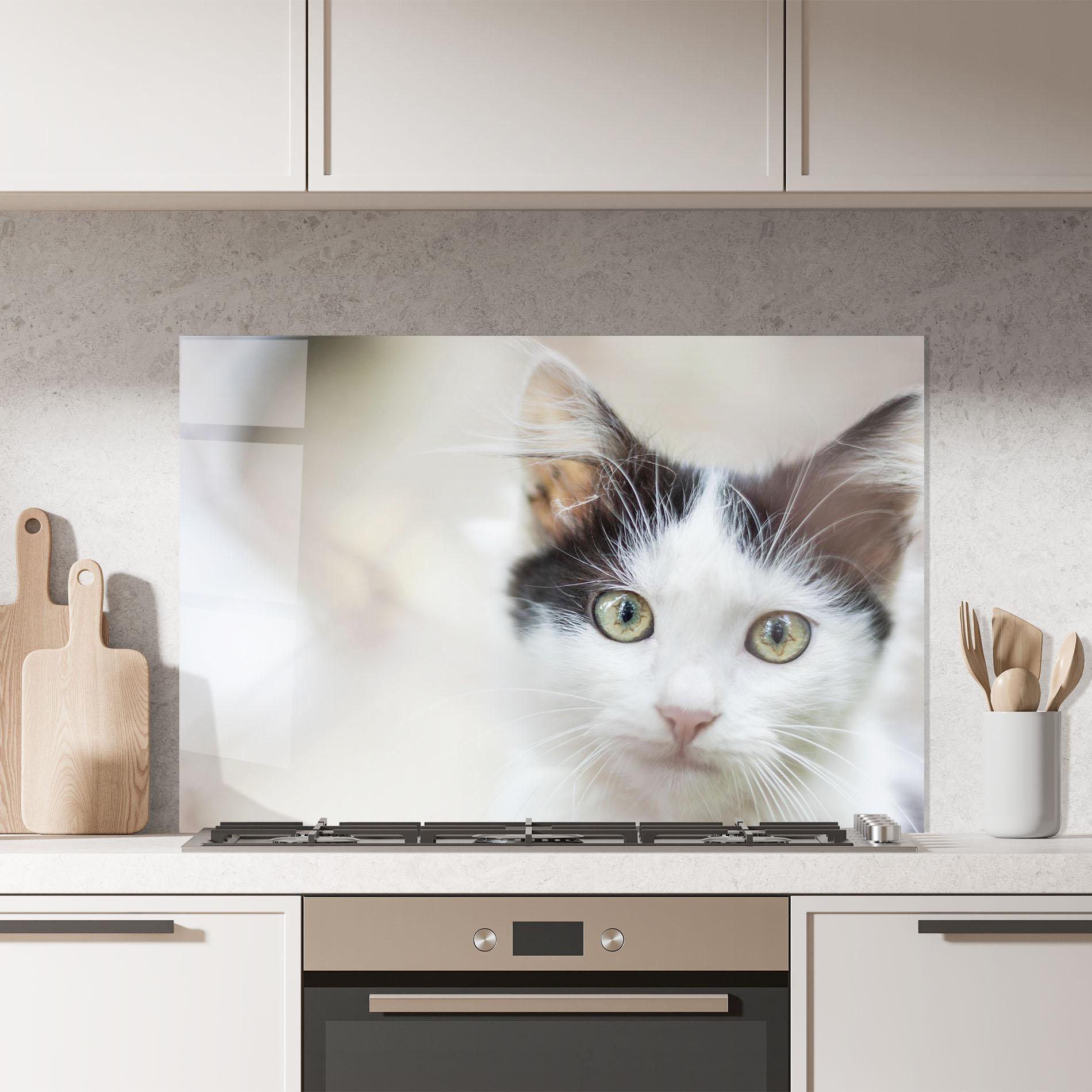 Panou Sticla Bucatarie Cutie Cat mockup 7