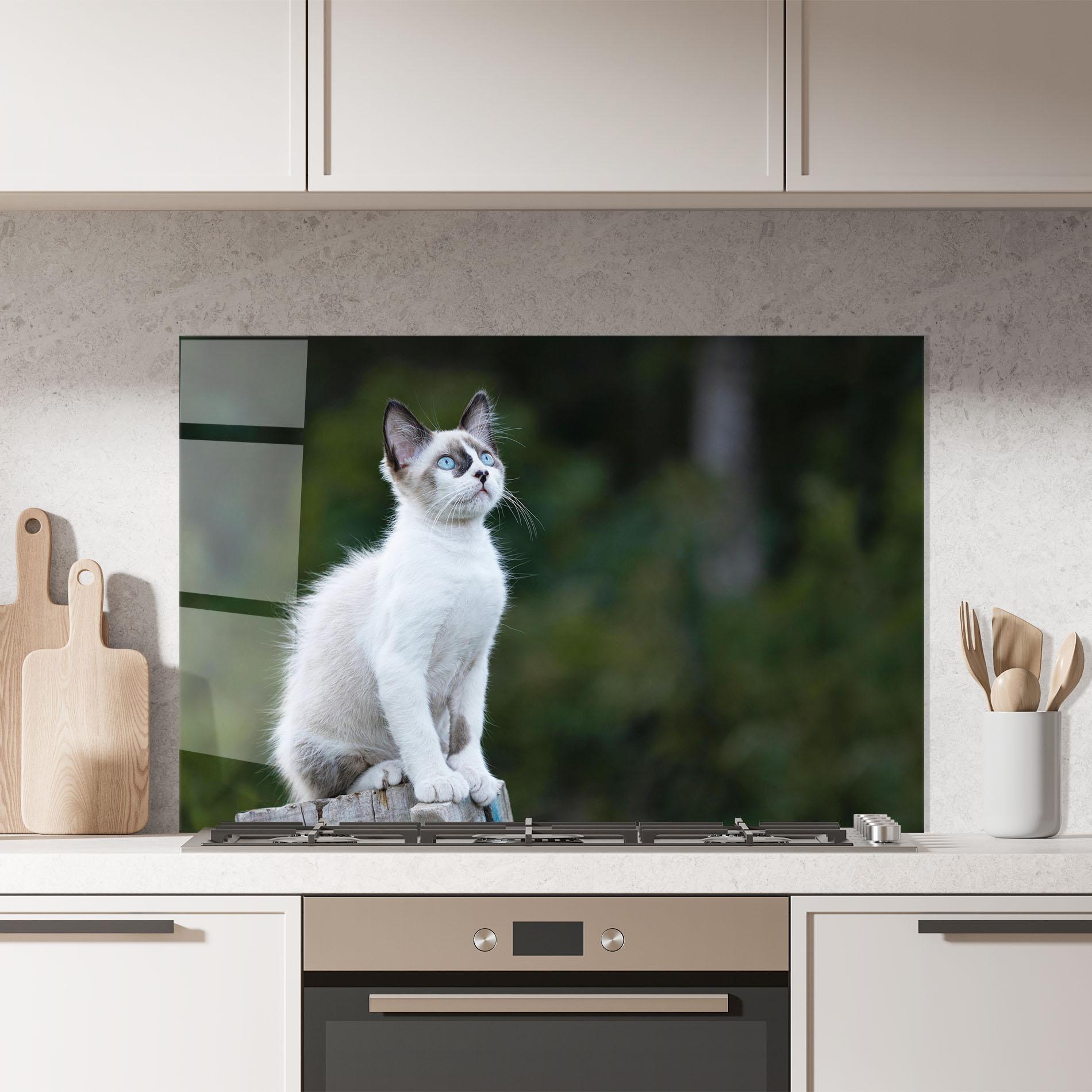 Panou Sticla Bucatarie Grey Cat In Nature mockup 7