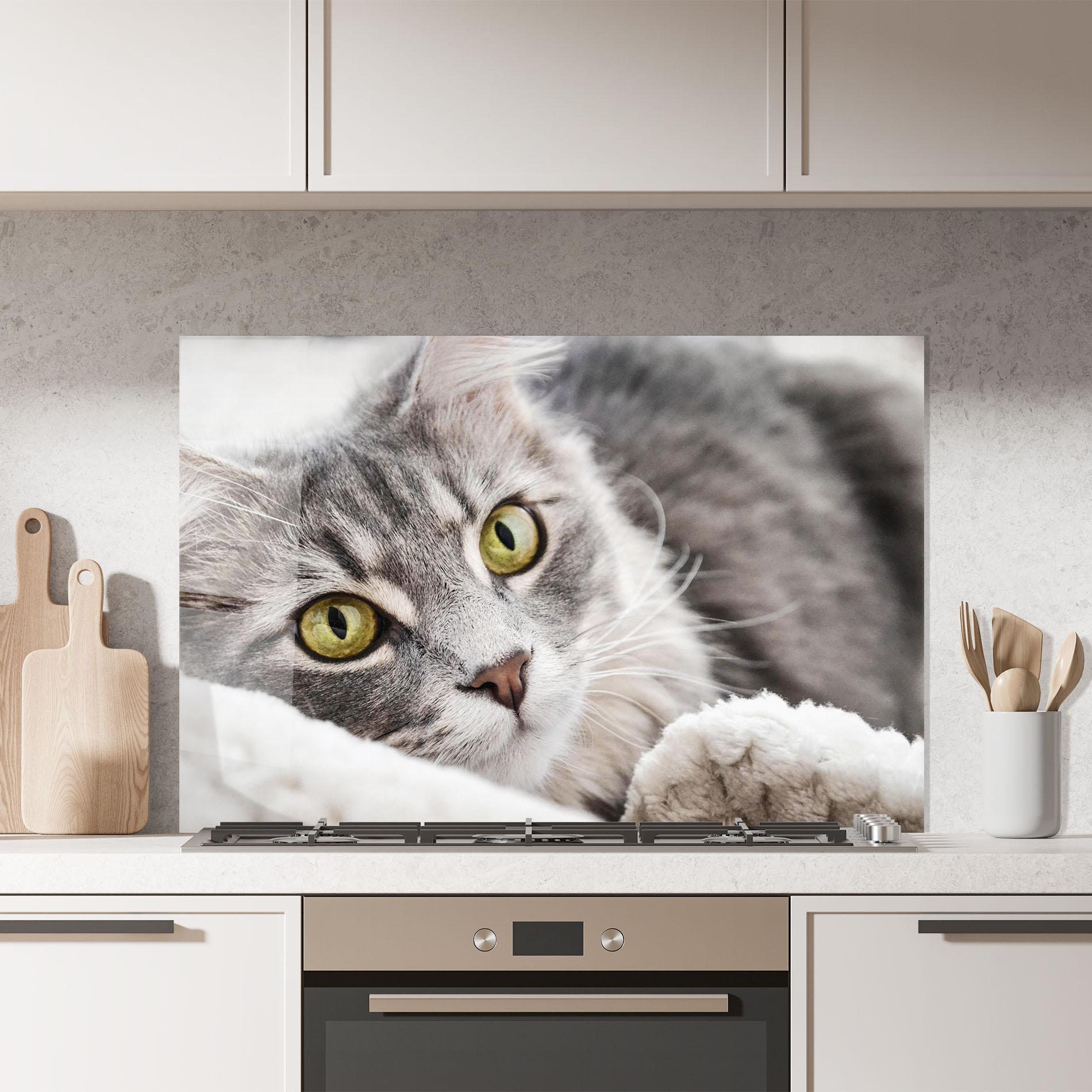 Panou Sticla Bucatarie Grey Fluffy Cat mockup 7