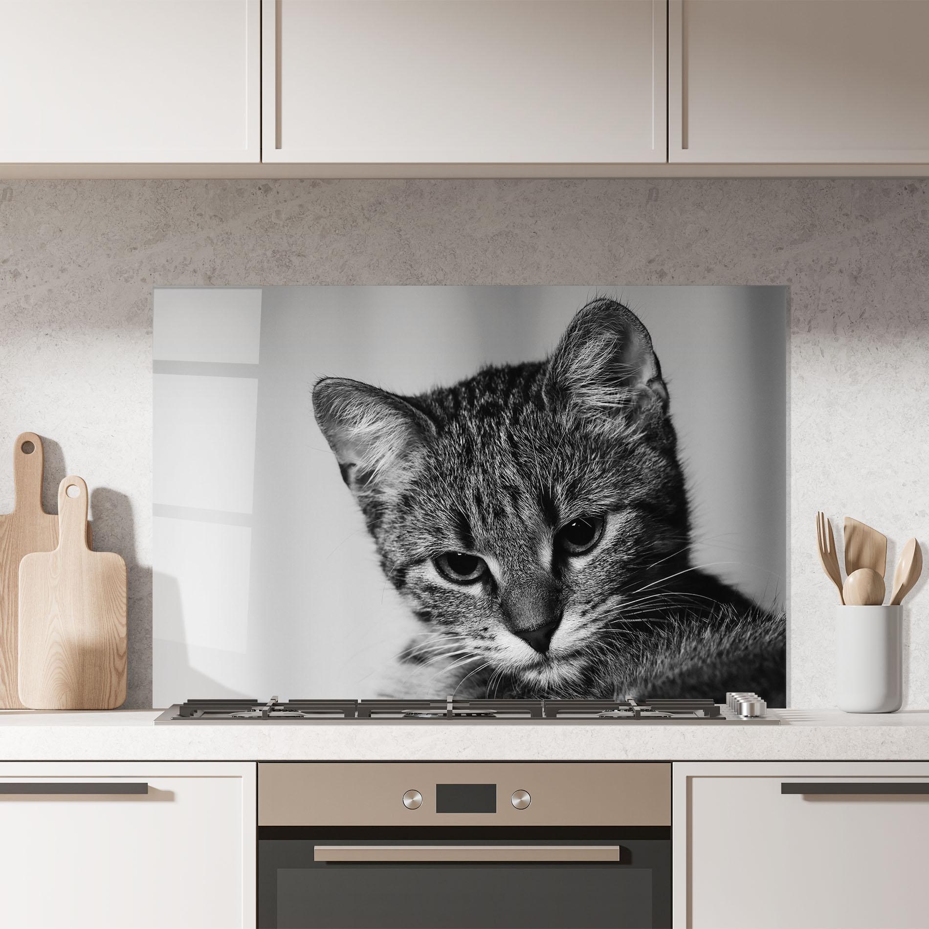 Panou Sticla Bucatarie Grey Focused Cat mockup 7