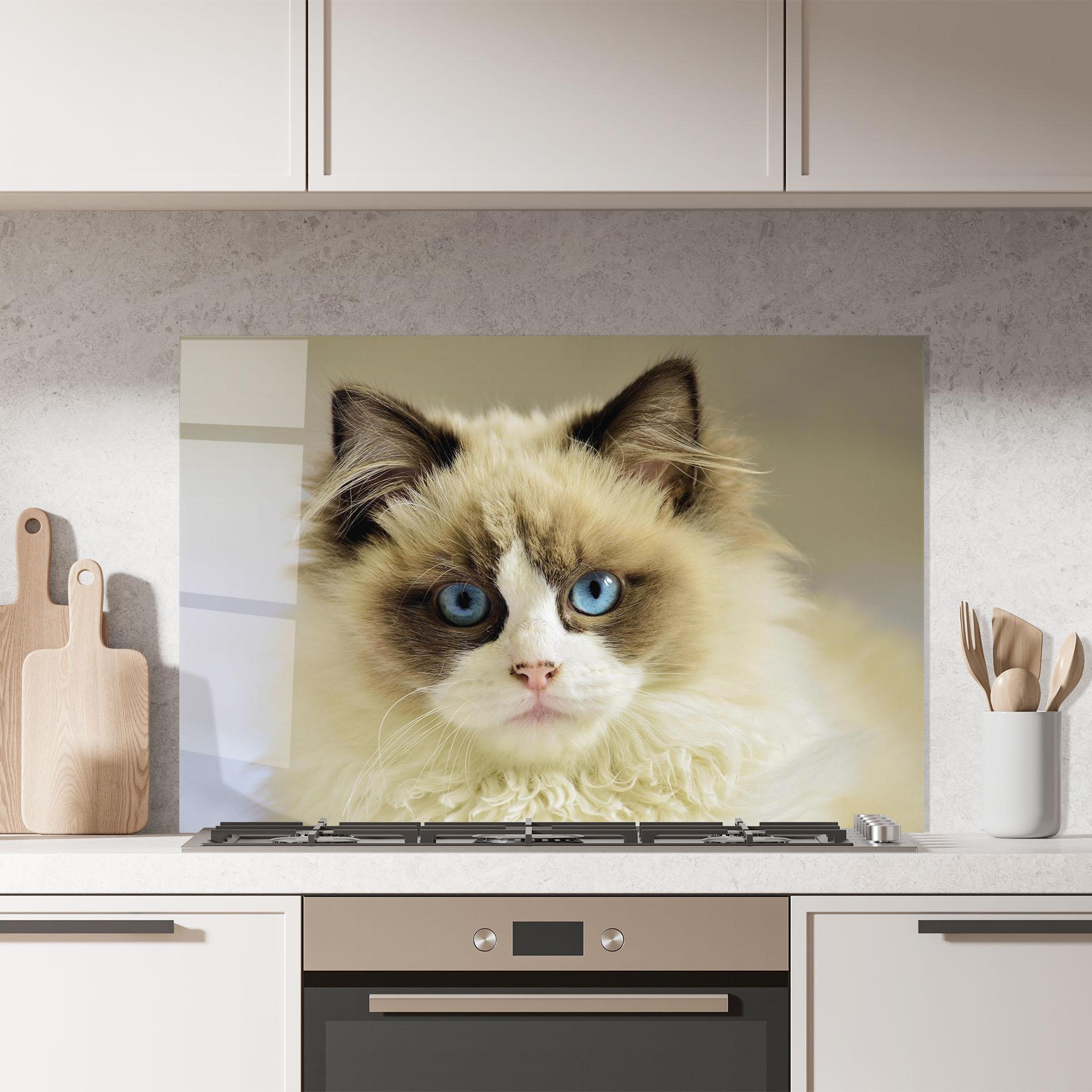 Panou Sticla Bucatarie Interesting Blue Eyes Cat mockup 7