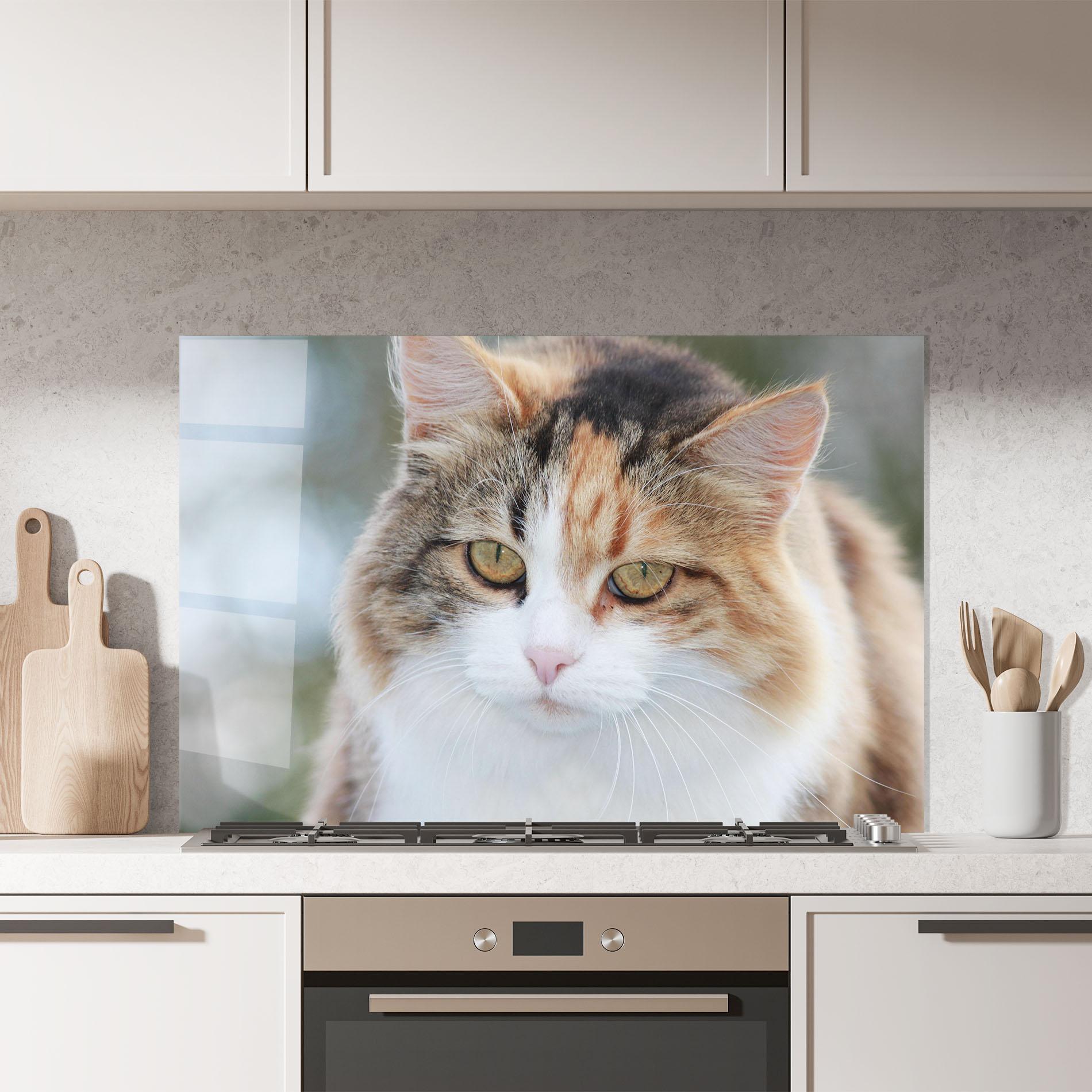 Panou Sticla Bucatarie Orange Brown Cat mockup 7