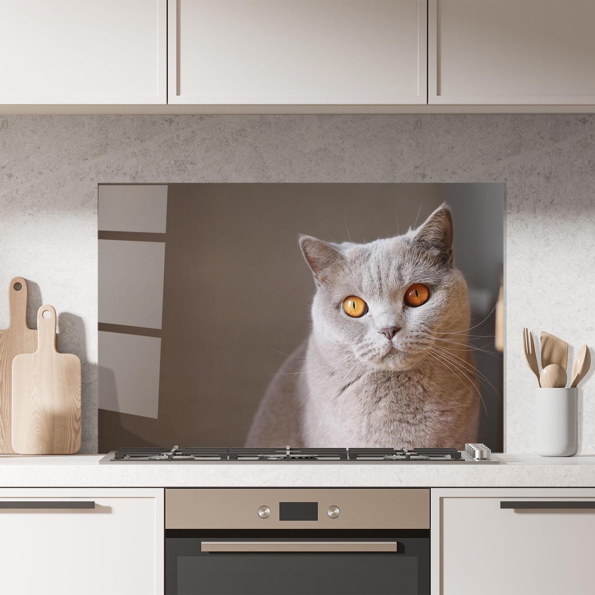 Panou Sticla Bucatarie Orange Eyes Cat mockup 7