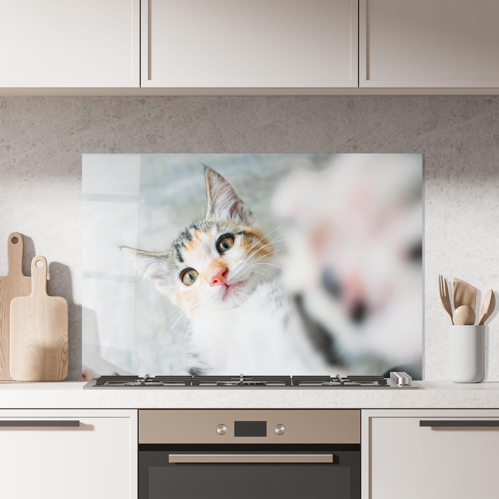 Panou Sticla Bucatarie Pretty Pink Nose Cat mockup 7