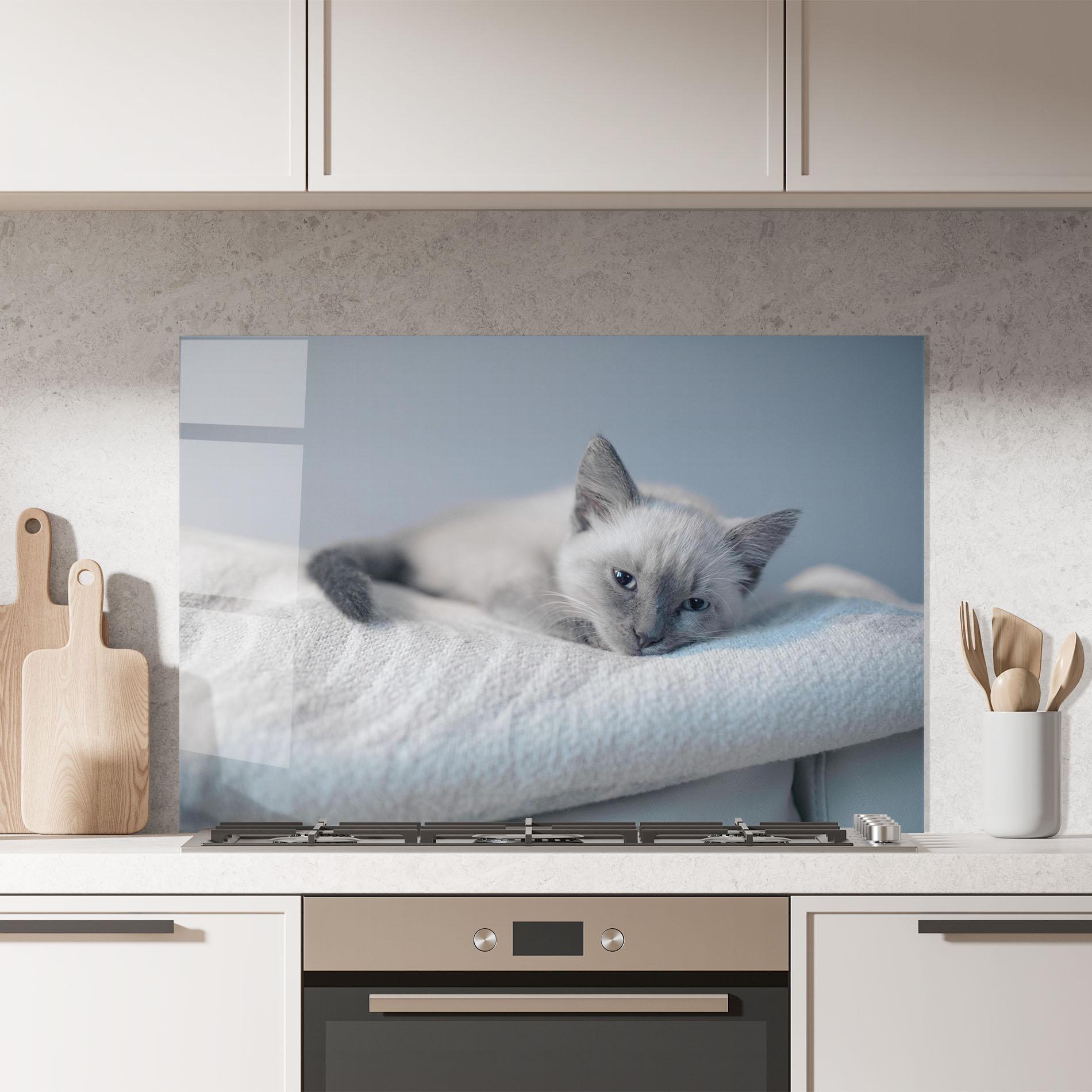 Panou Sticla Bucatarie Sleepy Grey Cat mockup 7