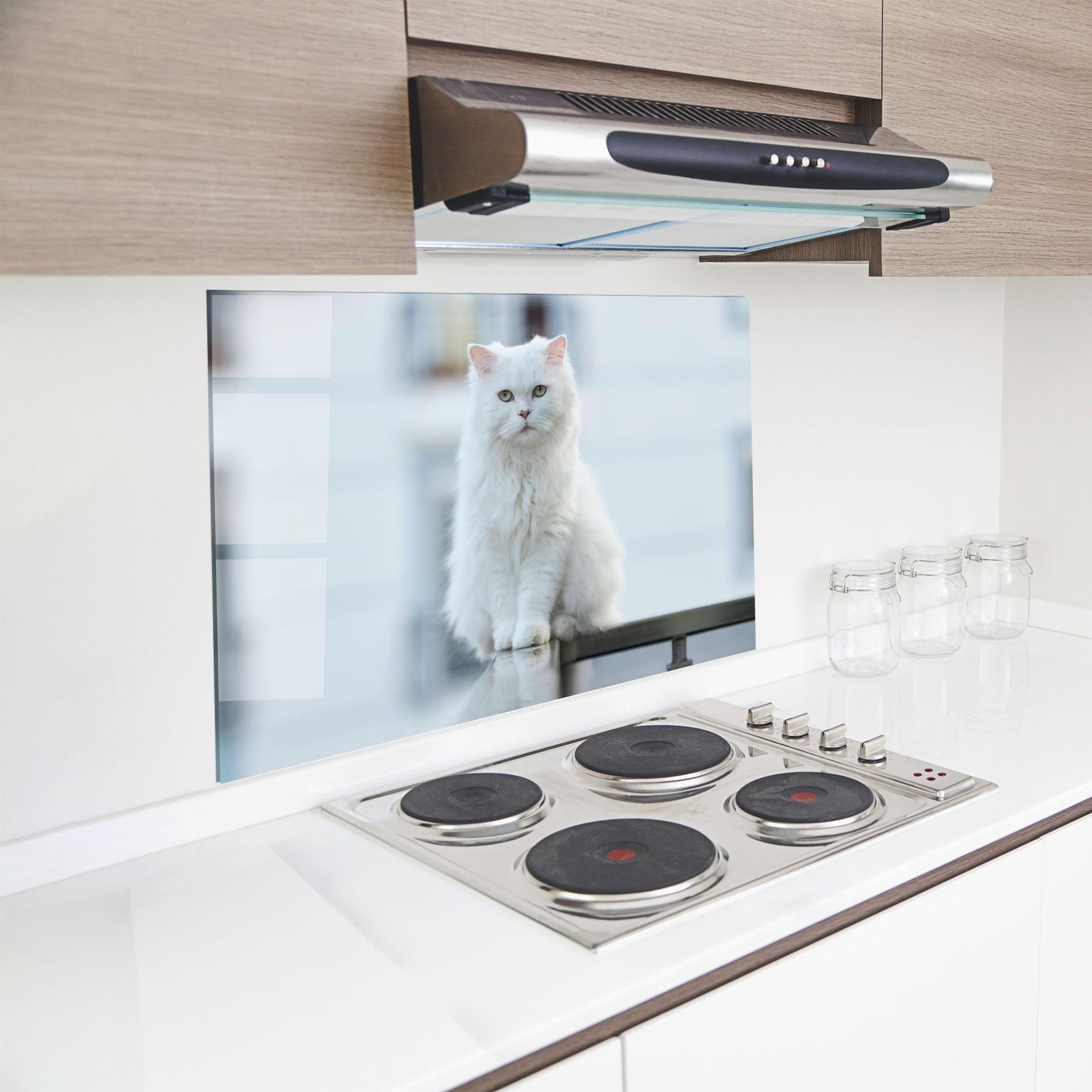 Panou Sticla Bucatarie Big White Cat mockup 8