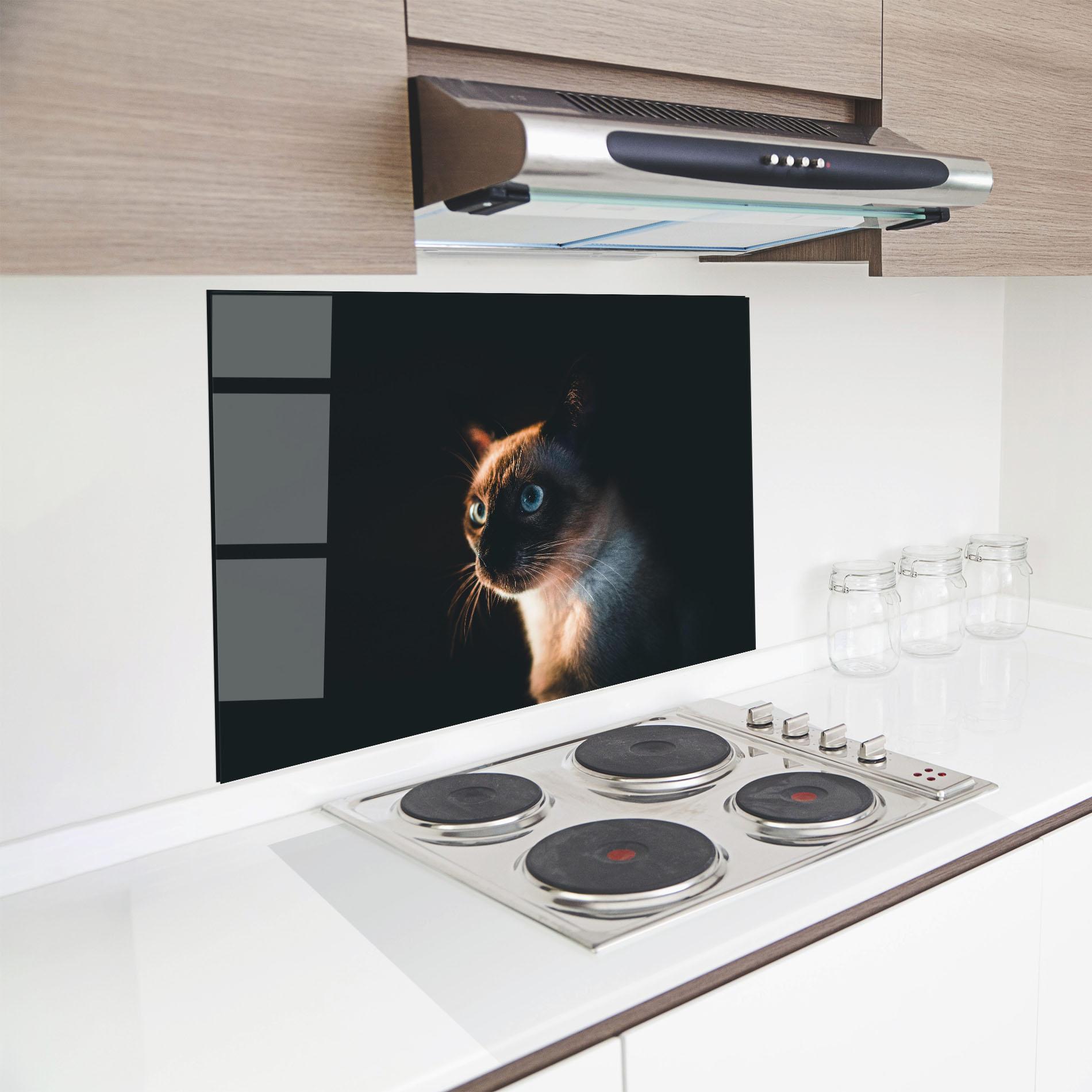 Panou Sticla Bucatarie Blue Eyes Cat In Dark mockup 8