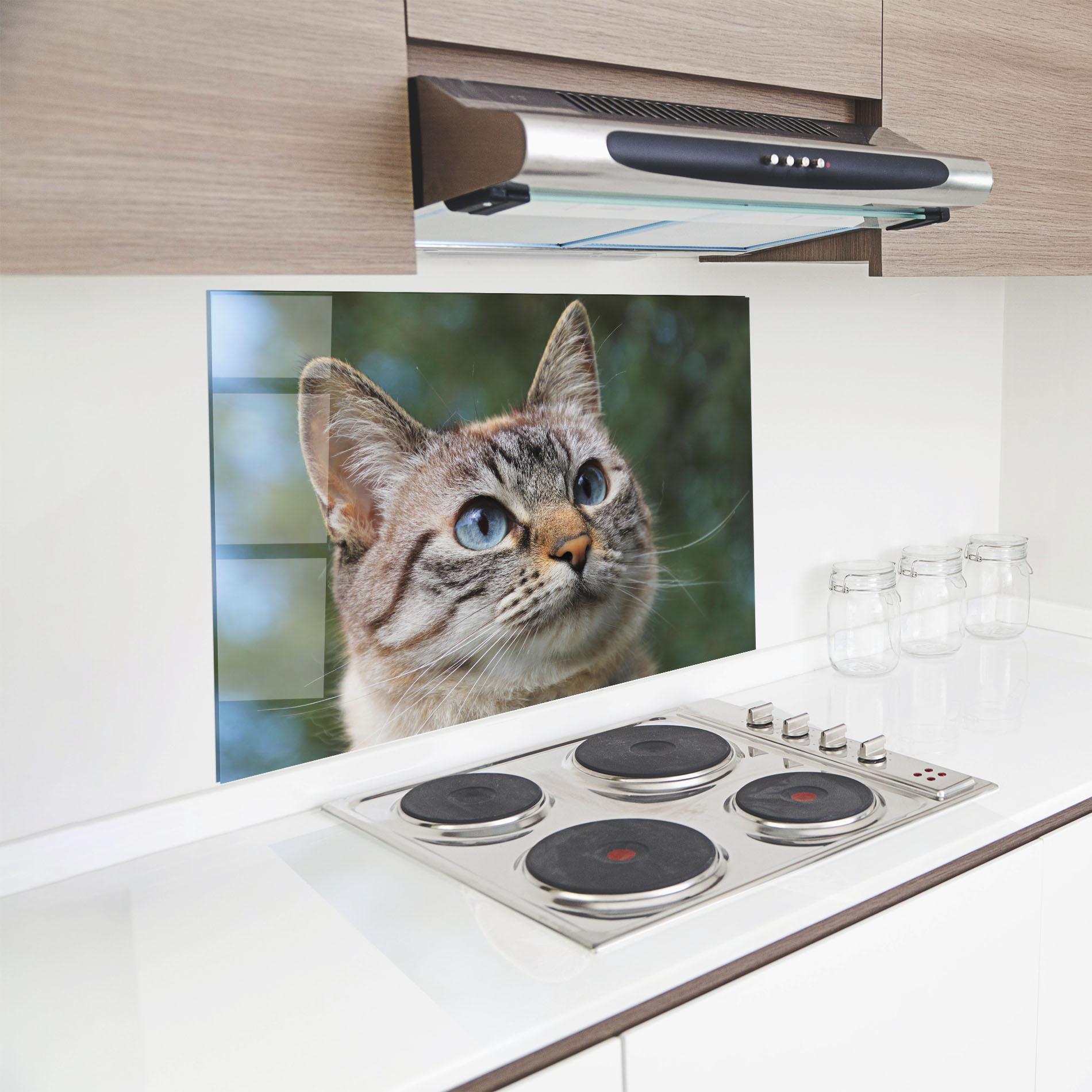 Panou Sticla Bucatarie Blue Eyes Cutie mockup 8