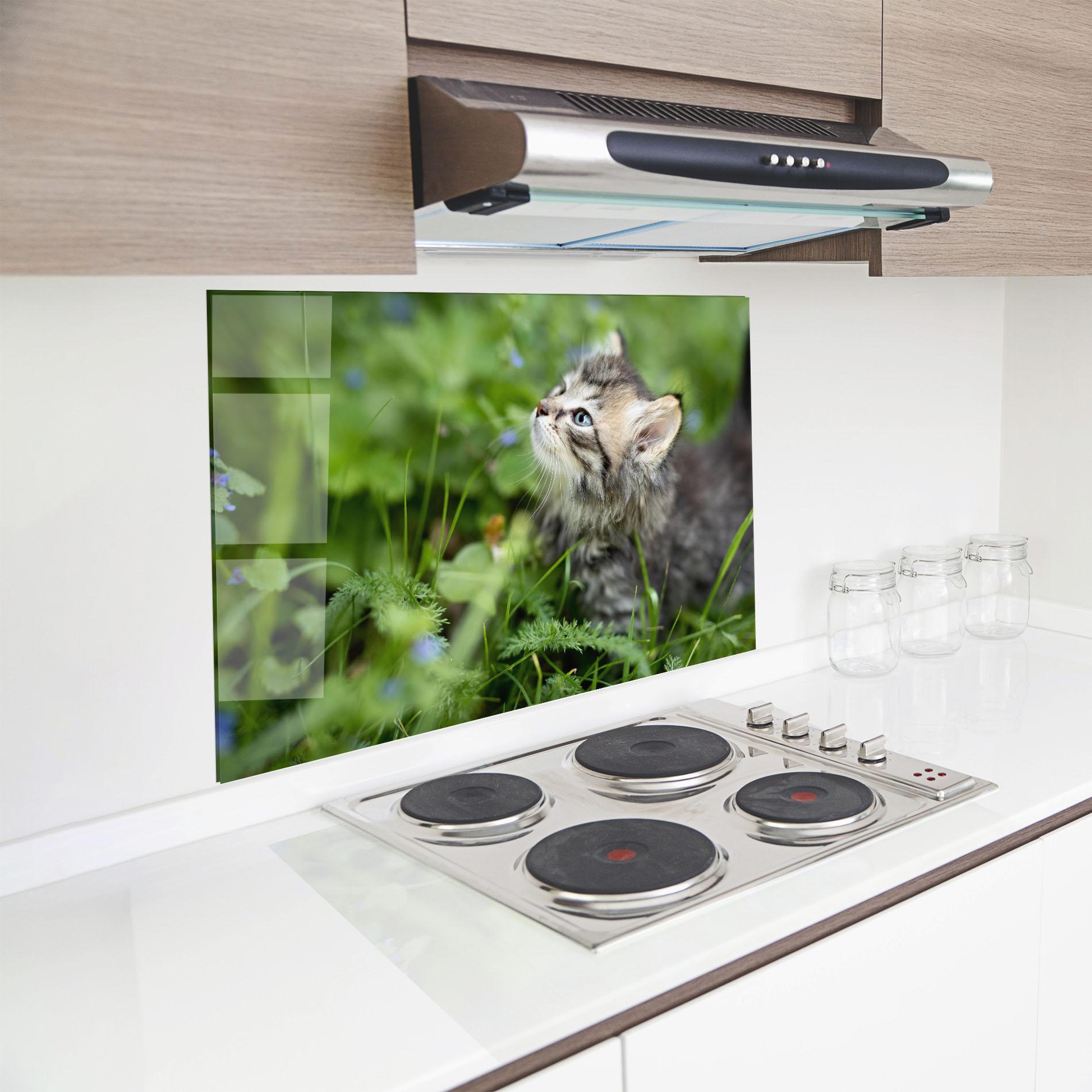 Panou Sticla Bucatarie Brown Baby Cat mockup 8