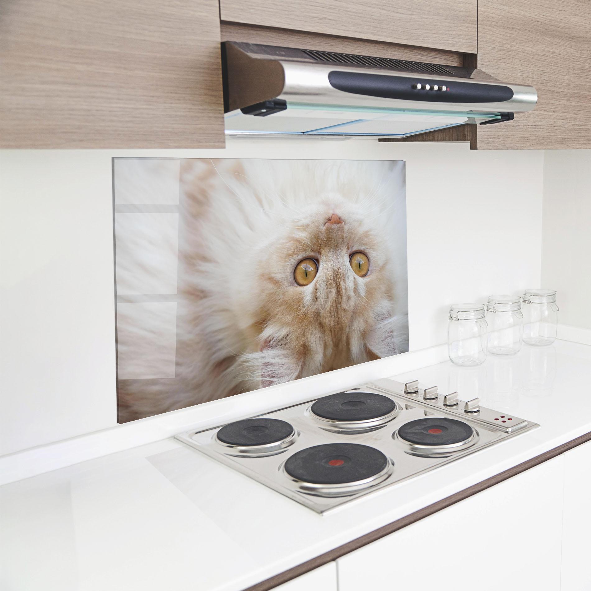 Panou Sticla Bucatarie Close Up Yellow Eyes Cat mockup 8