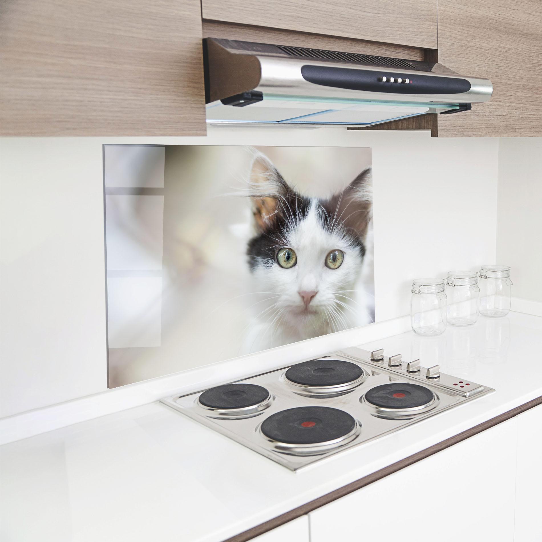 Panou Sticla Bucatarie Cutie Cat mockup 8