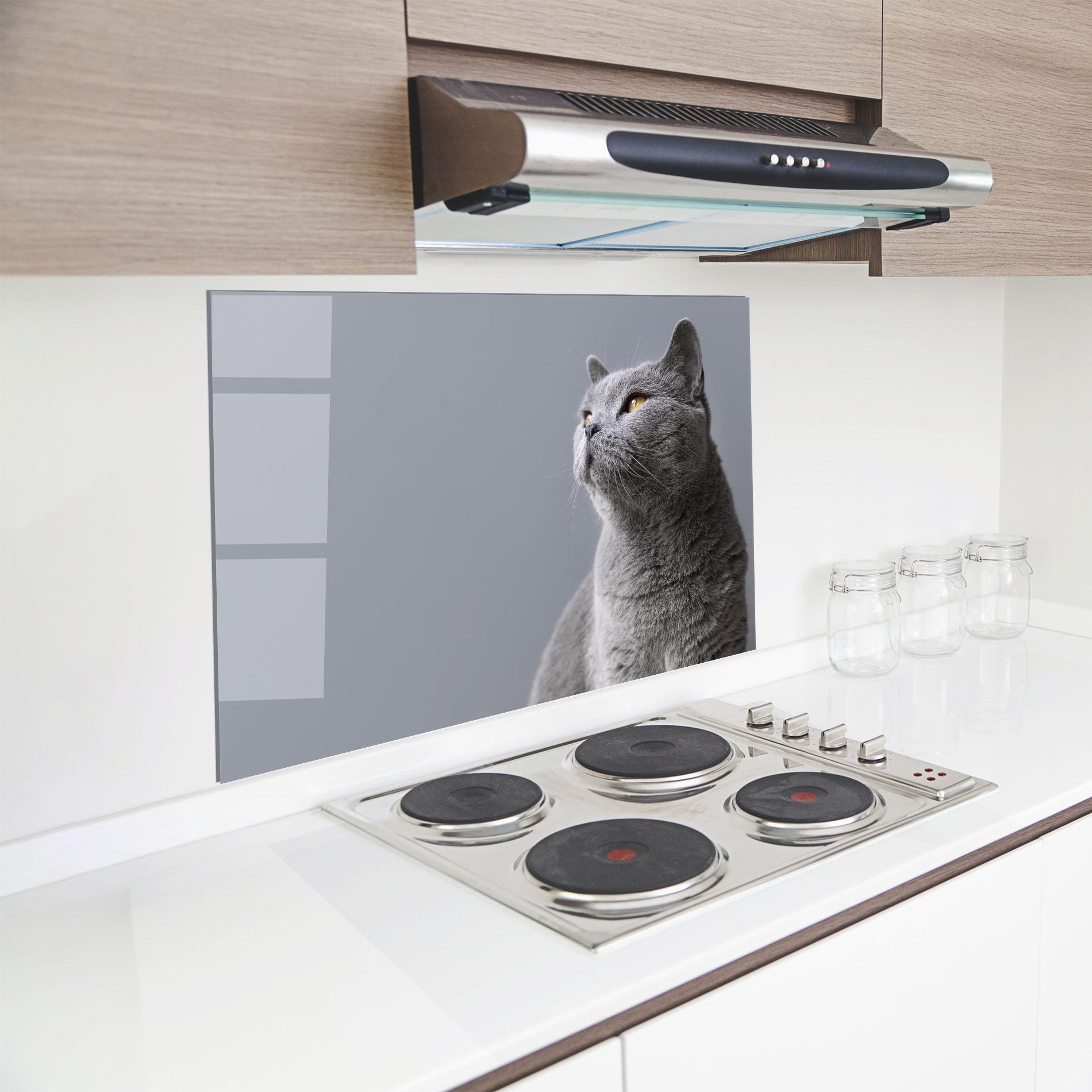 Panou Sticla Bucatarie Gray Kitty mockup 8