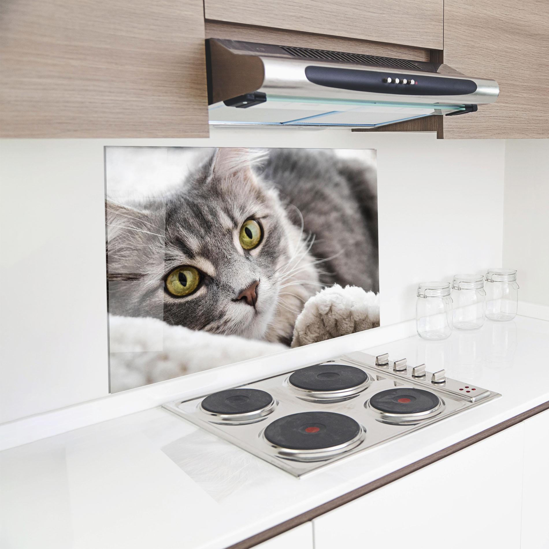 Panou Sticla Bucatarie Grey Fluffy Cat mockup 8