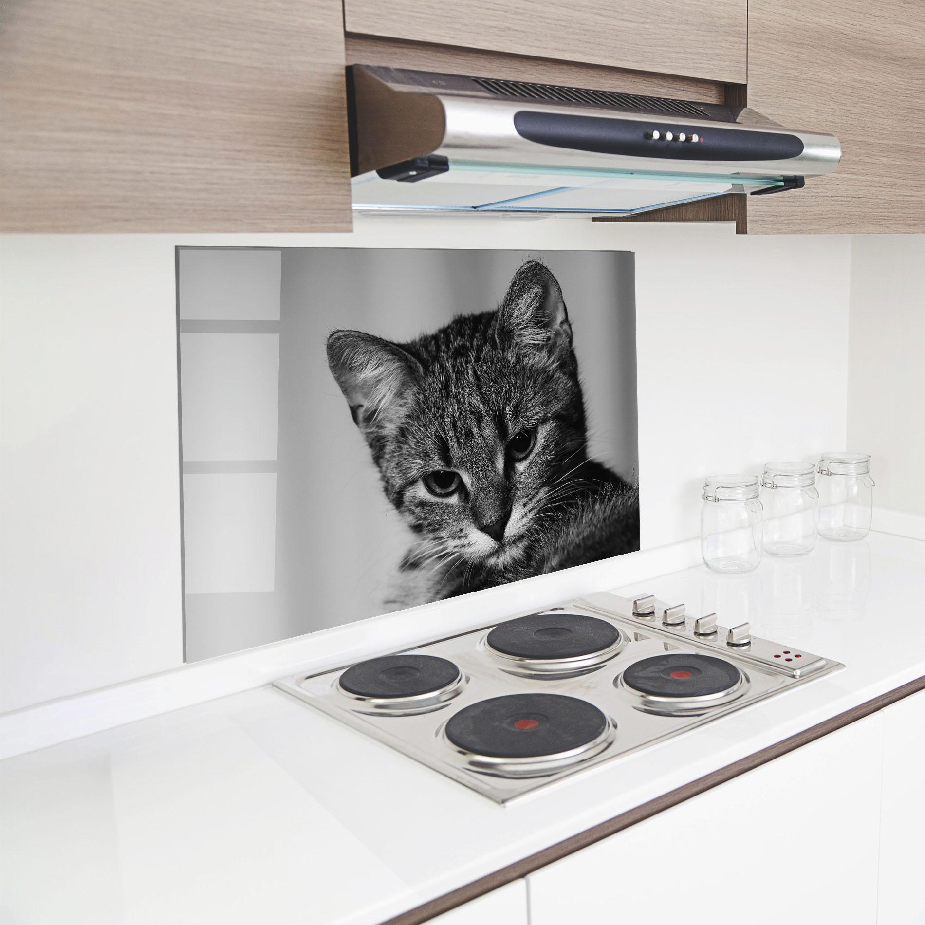 Panou Sticla Bucatarie Grey Focused Cat mockup 8