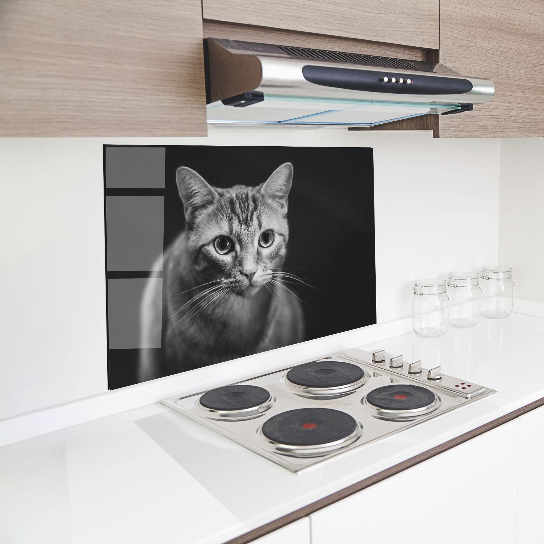 Panou Sticla Bucatarie Grey Kitty On Black mockup 8