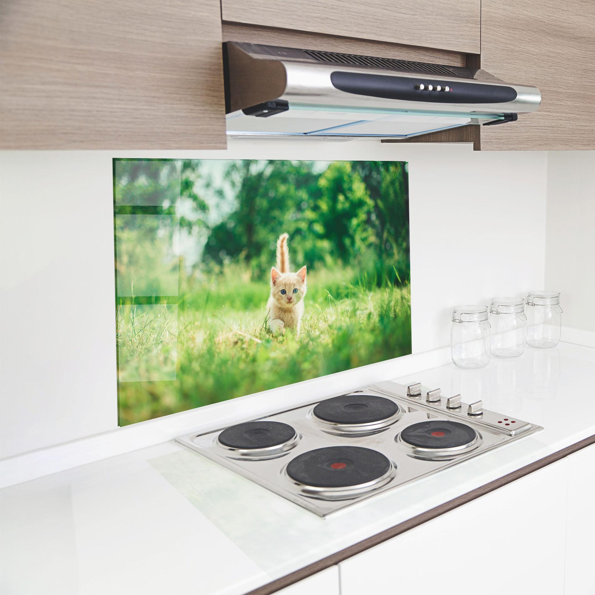 Panou Sticla Bucatarie Little Cute Cat mockup 8