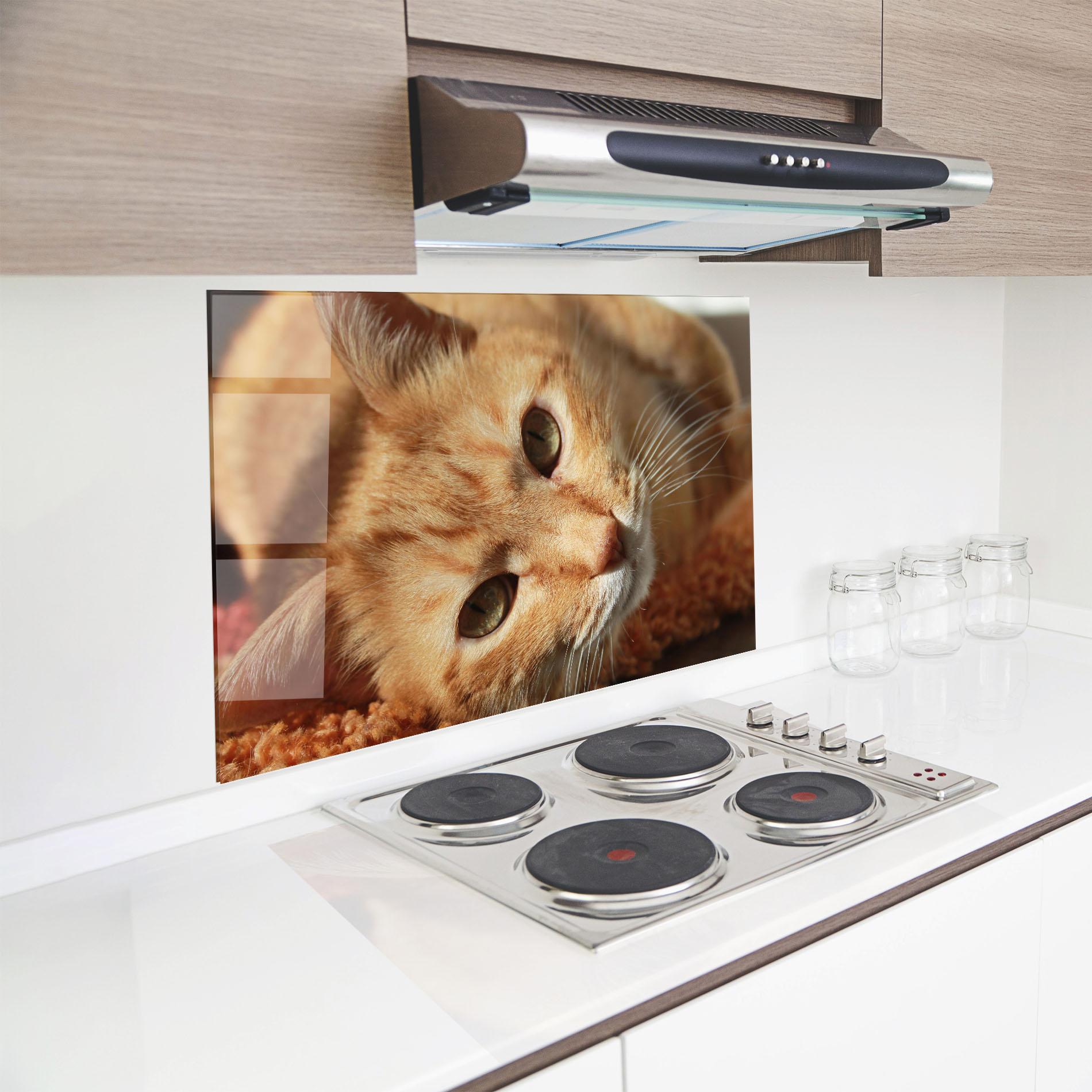 Panou Sticla Bucatarie Pretty Orange Cat mockup 8