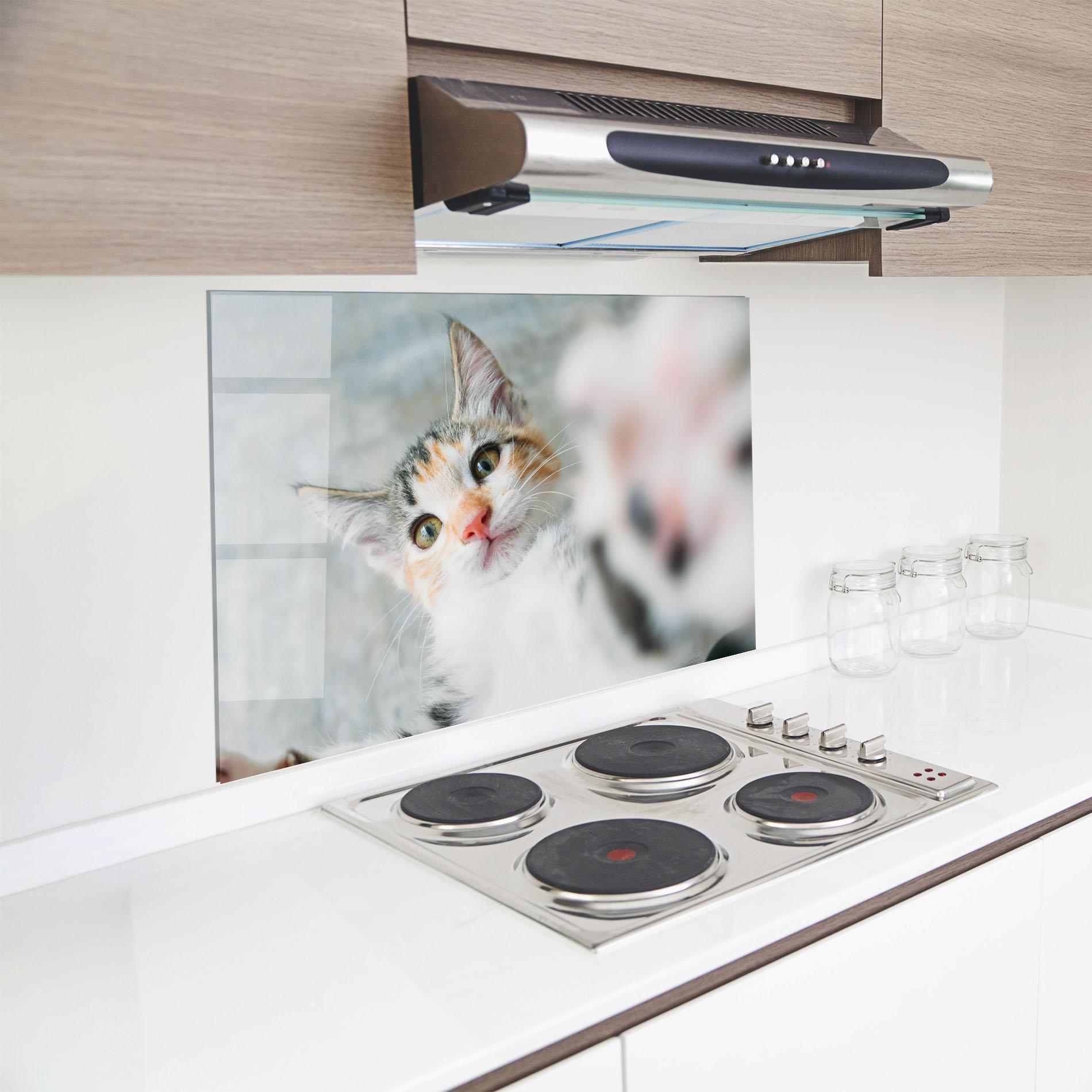 Panou Sticla Bucatarie Pretty Pink Nose Cat mockup 8