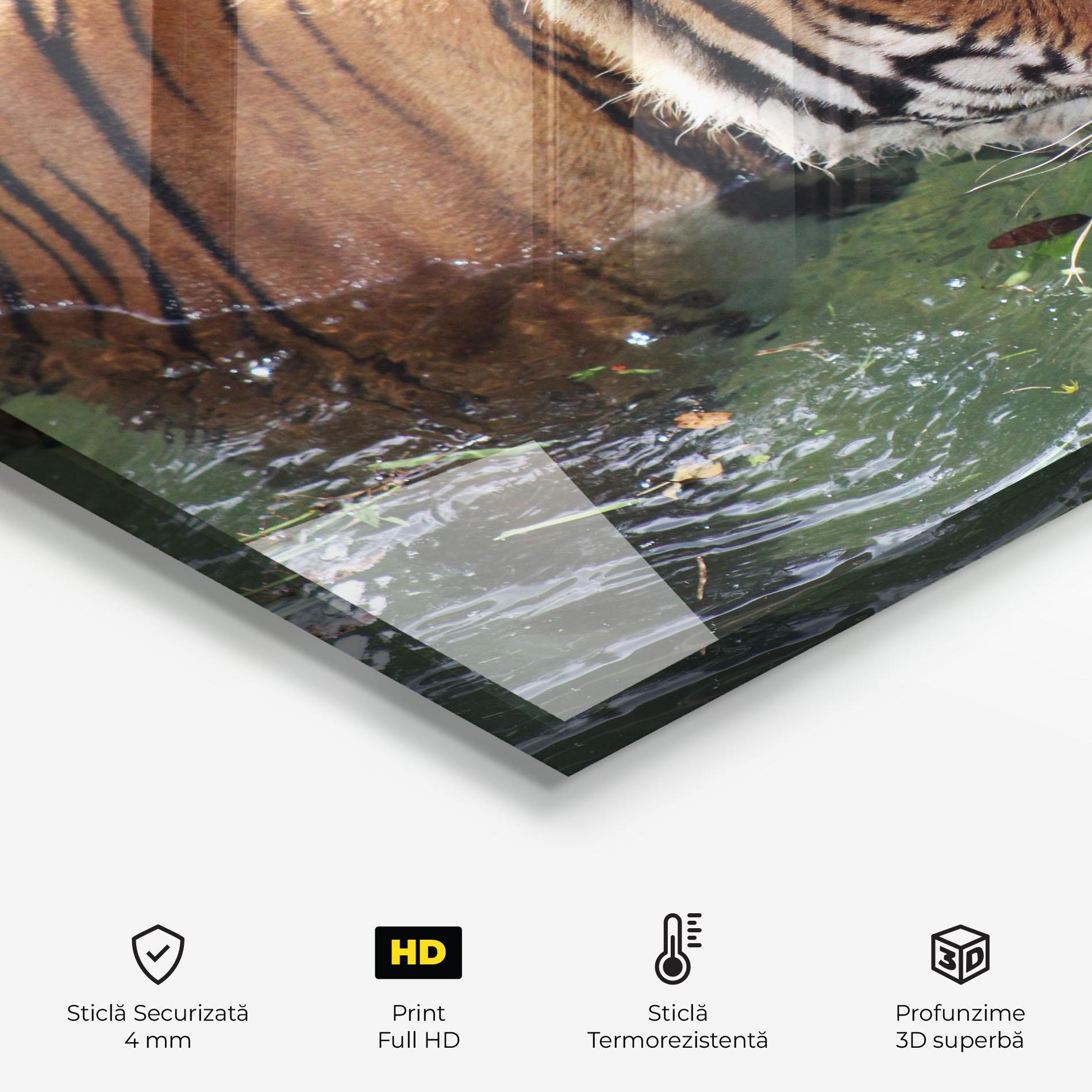 Panou Sticla Bucatarie Tiger Swimming mockup 2
